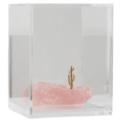 Serie Mandacaru, Escultura de cactus de piedra y latón en caja acrílica