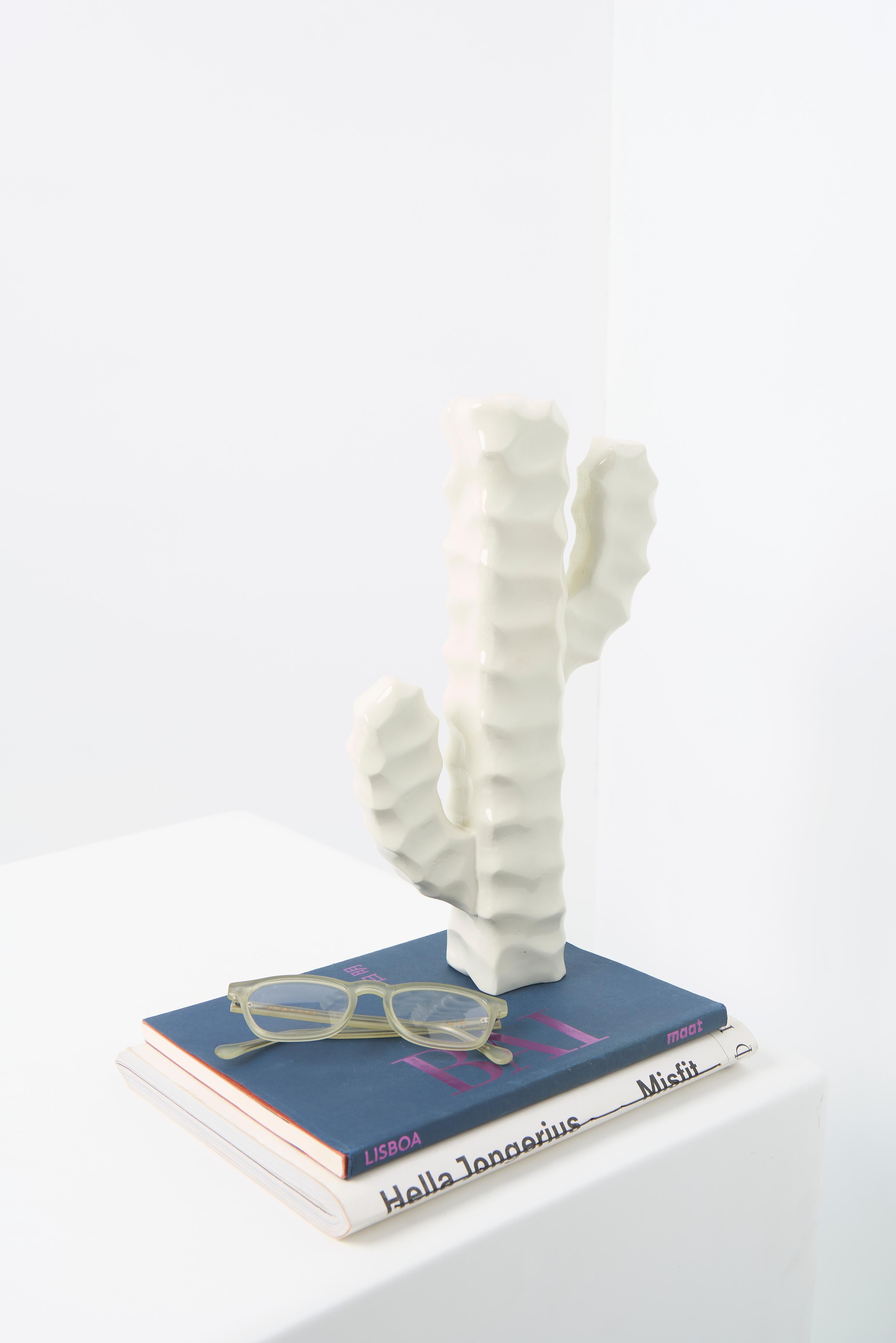 Série Mandacaru, sculpture de table Cactus en bois en vente 3