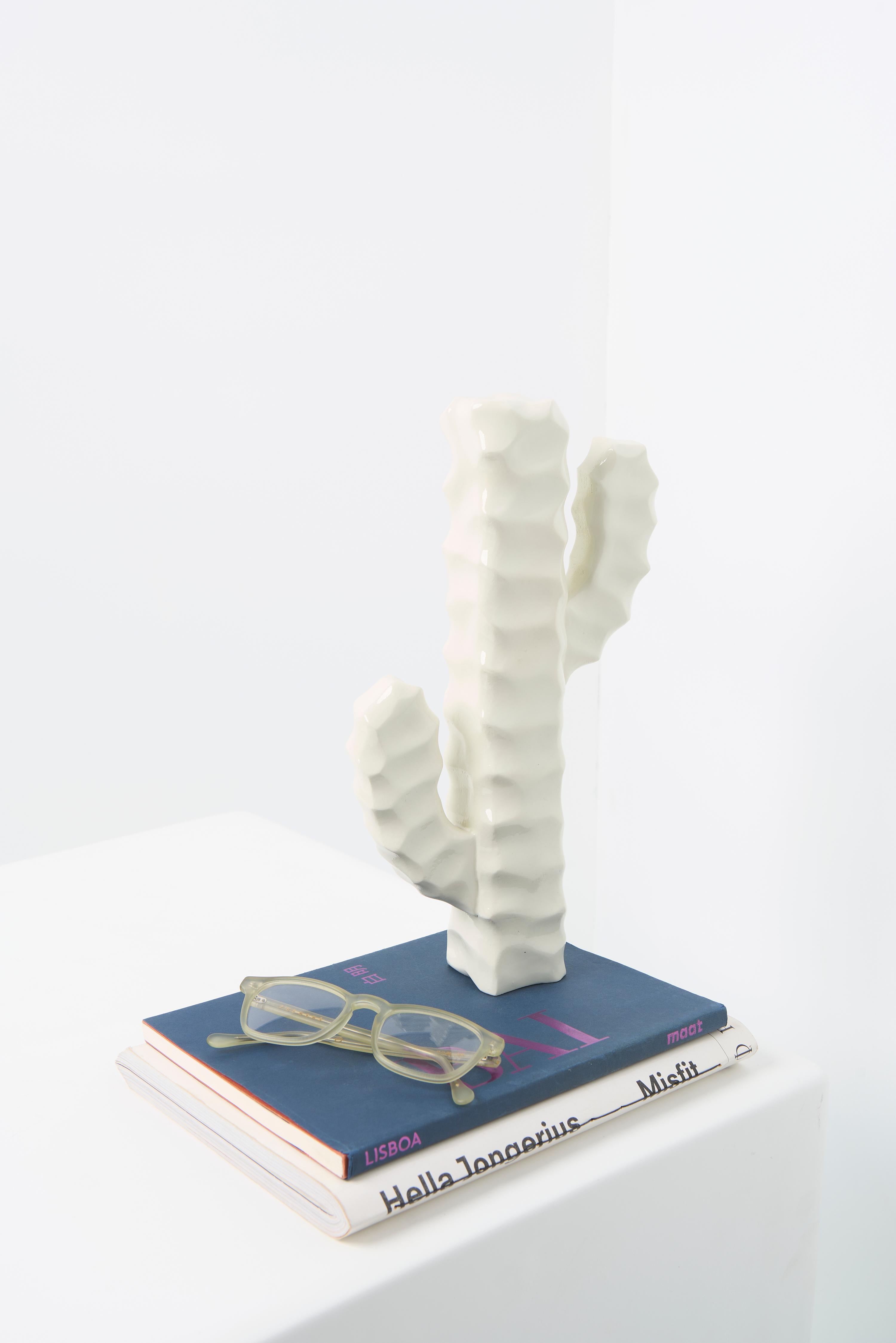 Série Mandacaru, sculpture de table Cactus en bois en vente 4