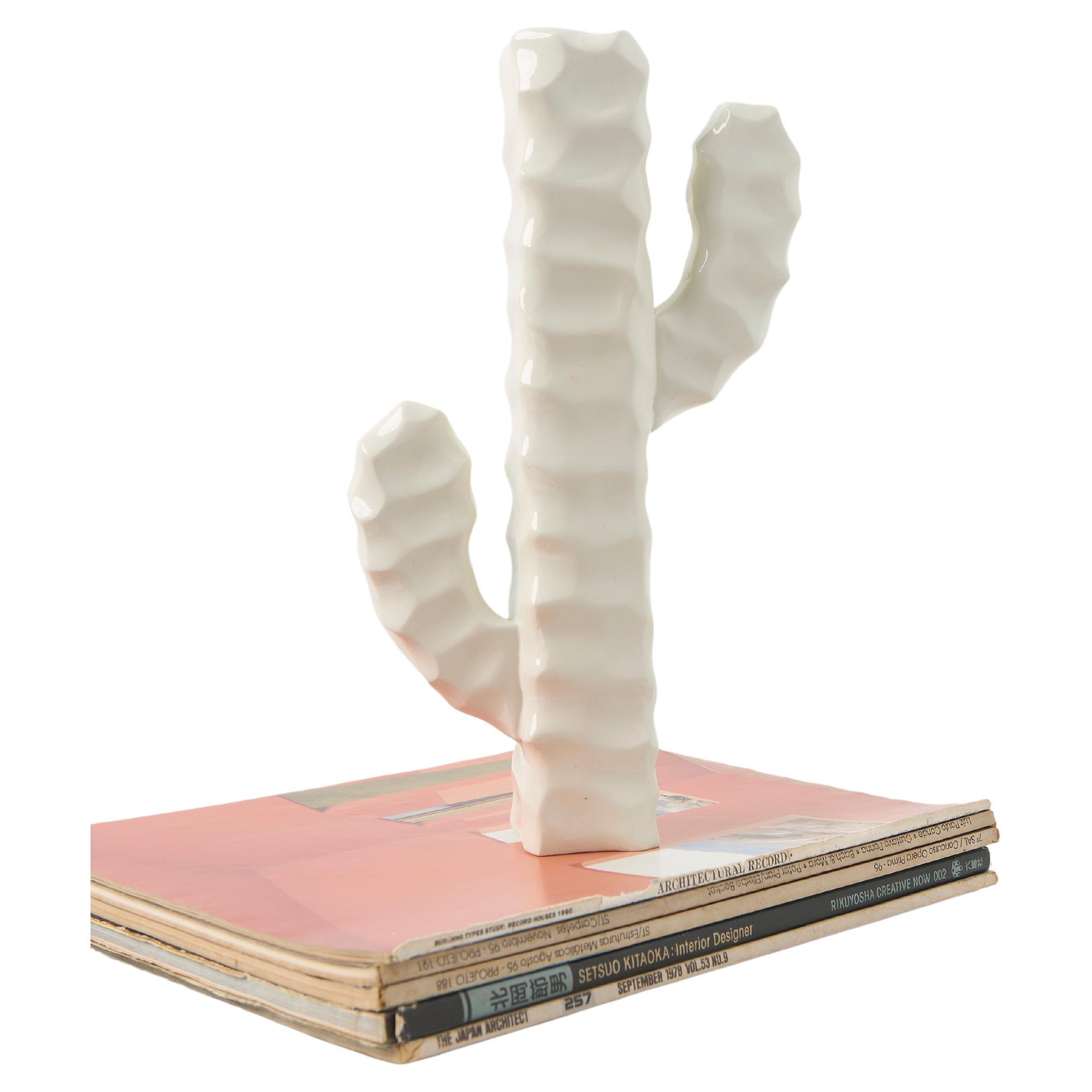 Série Mandacaru, sculpture de table Cactus en bois en vente
