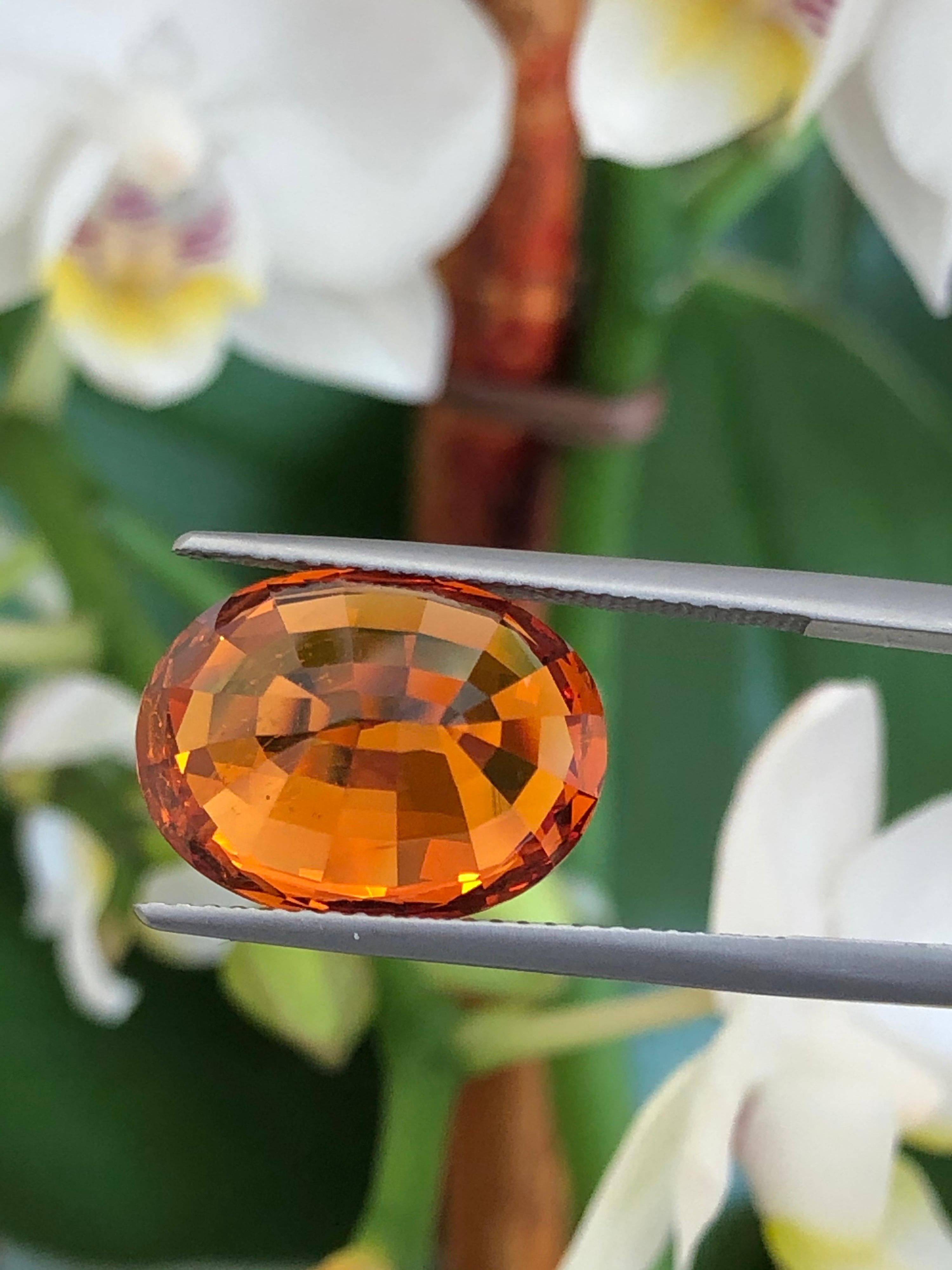 Oval Cut Mandarin Garnet Ring Gem 13.54 Carat GIA Certified Loose Gemstone