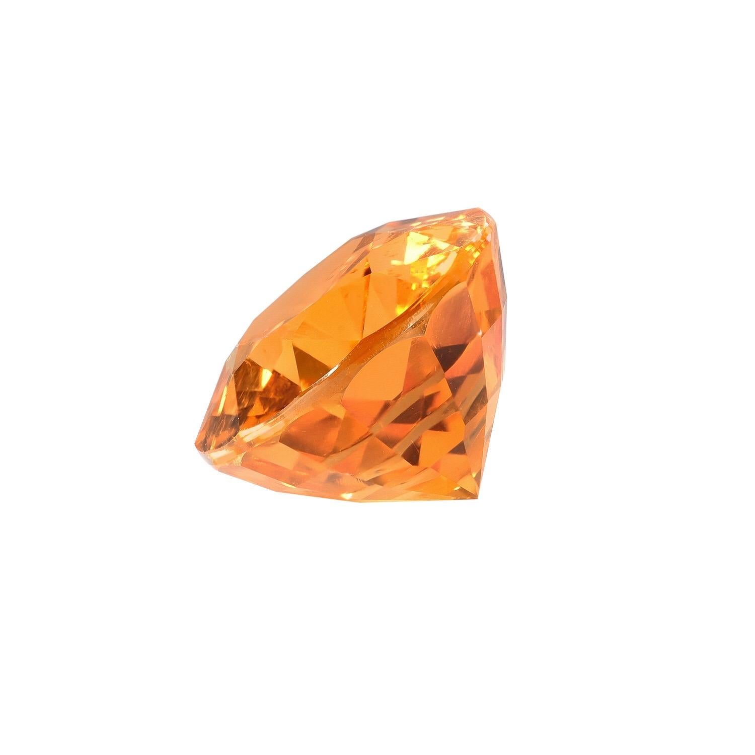 Supreme quality 7.53 carat oval Mandarin Garnet, offered loose, for the world's most discerning gem collectors. 
Returns are accepted and paid by us within 7 days of delivery.
We also offer ultra exclusive custom jewelry work upon request. Please