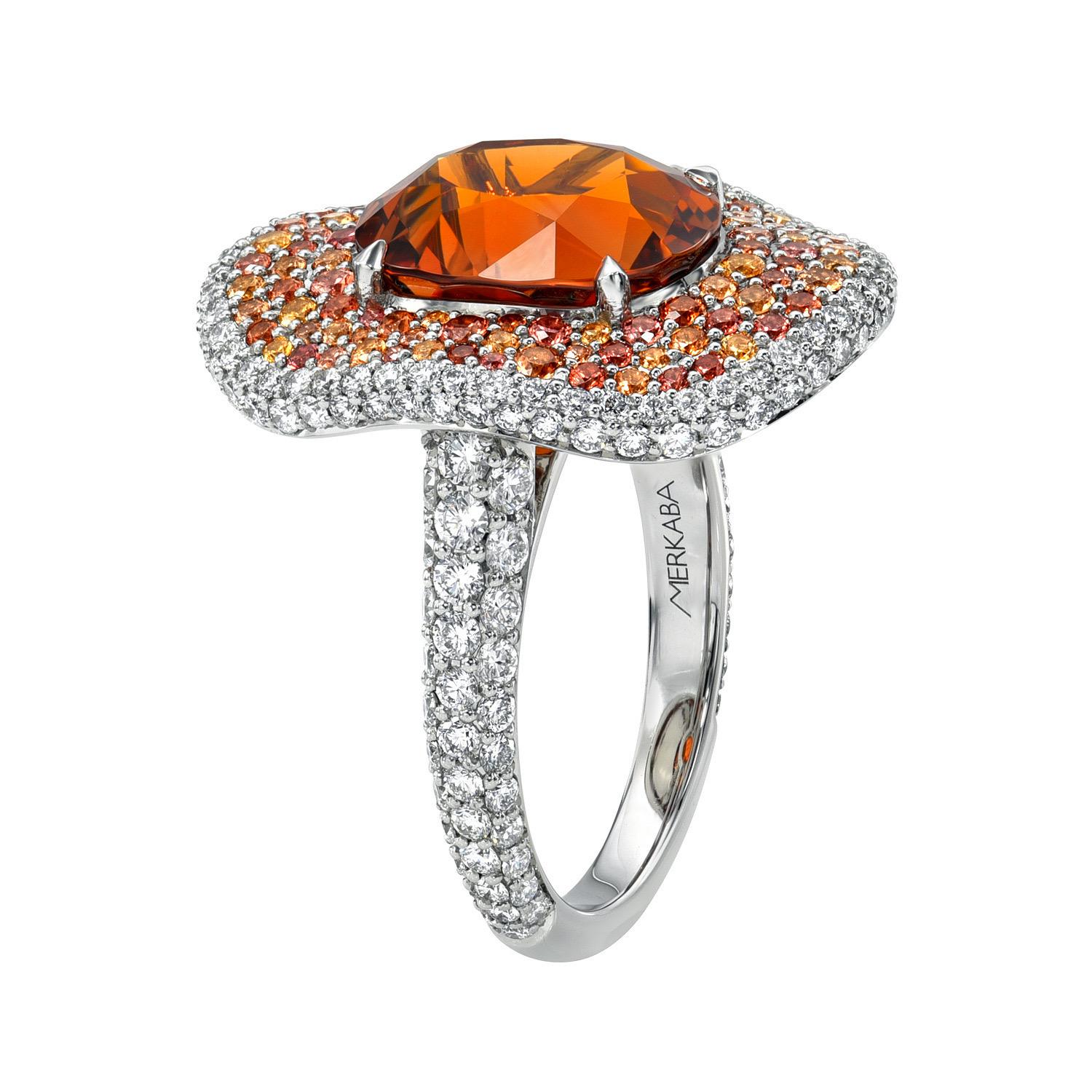 Presentamos el Anillo 