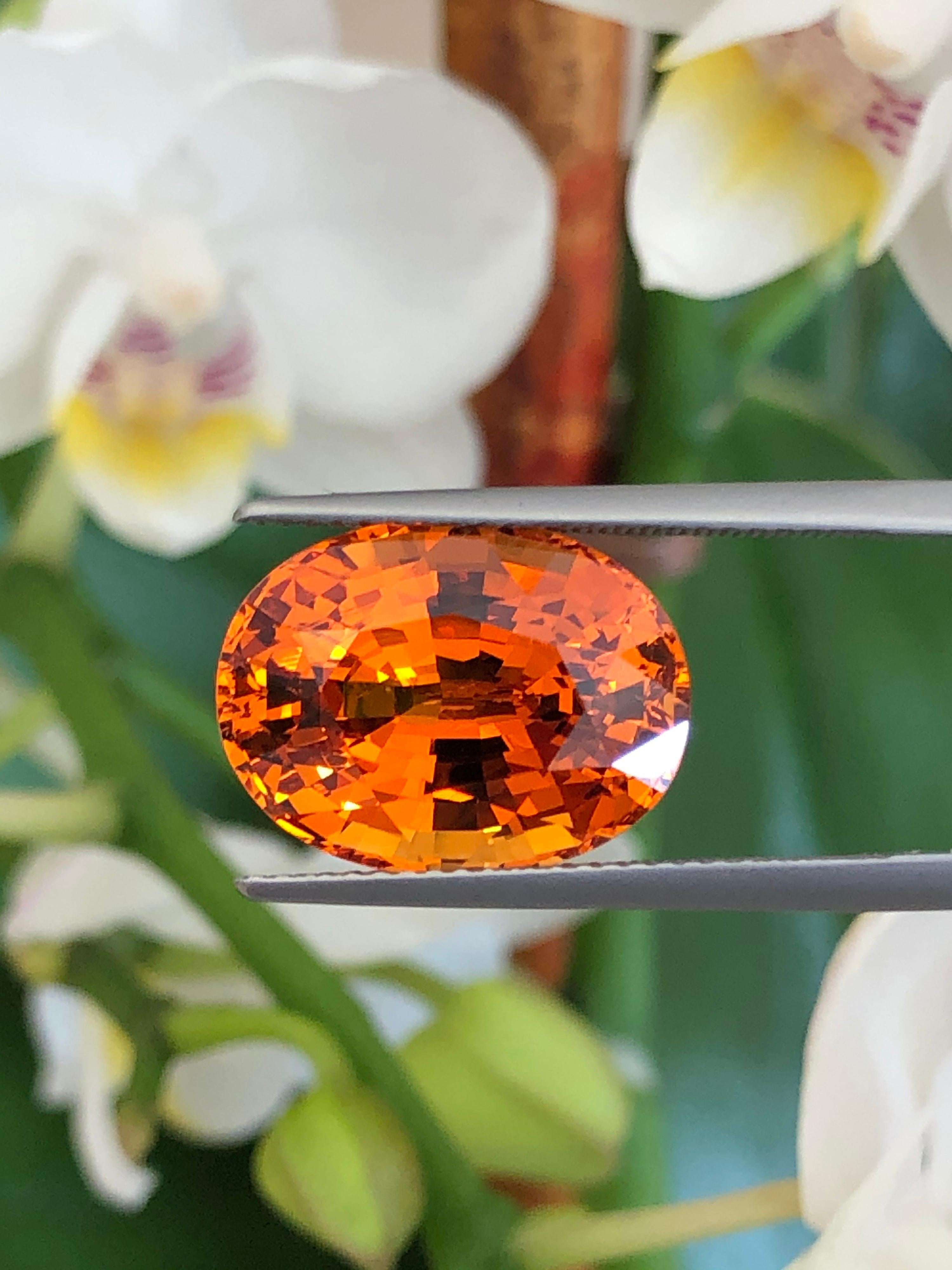 Ultrafeiner und exklusiver, GIA-zertifizierter, ovaler 13,54 Karat Mandarin-Granat (Spessartin-Granat), der einem leidenschaftlichen Edelsteinsammler lose angeboten wird.
Abmessungen: 15,13 x 11,41 x 8,79 mm.
Die G.I.A.-Bescheinigung ist der