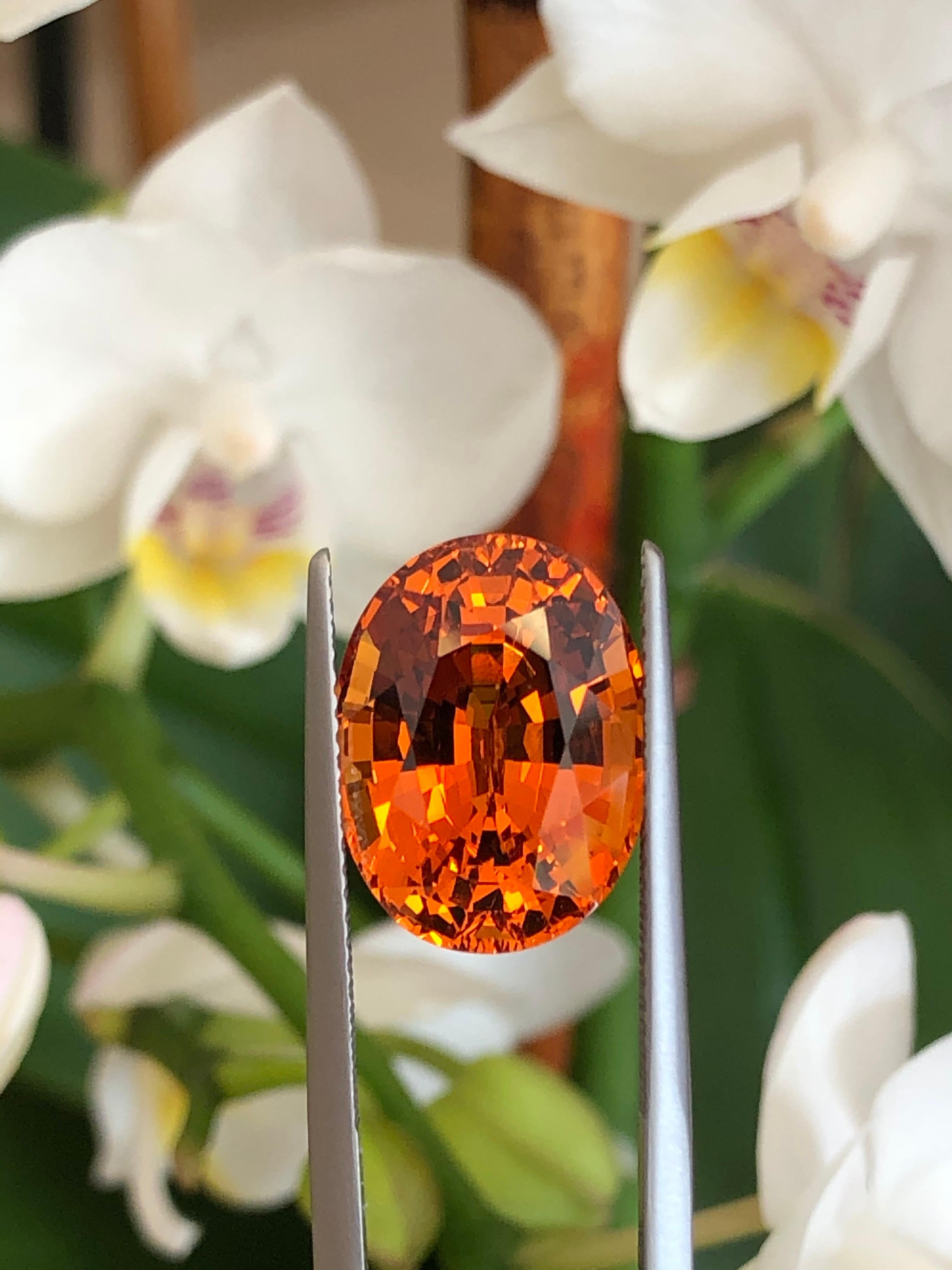 Mandarin-Granat Edelstein 13,54 Karat GIA zertifiziert Loser Edelstein im Zustand „Neu“ in Beverly Hills, CA