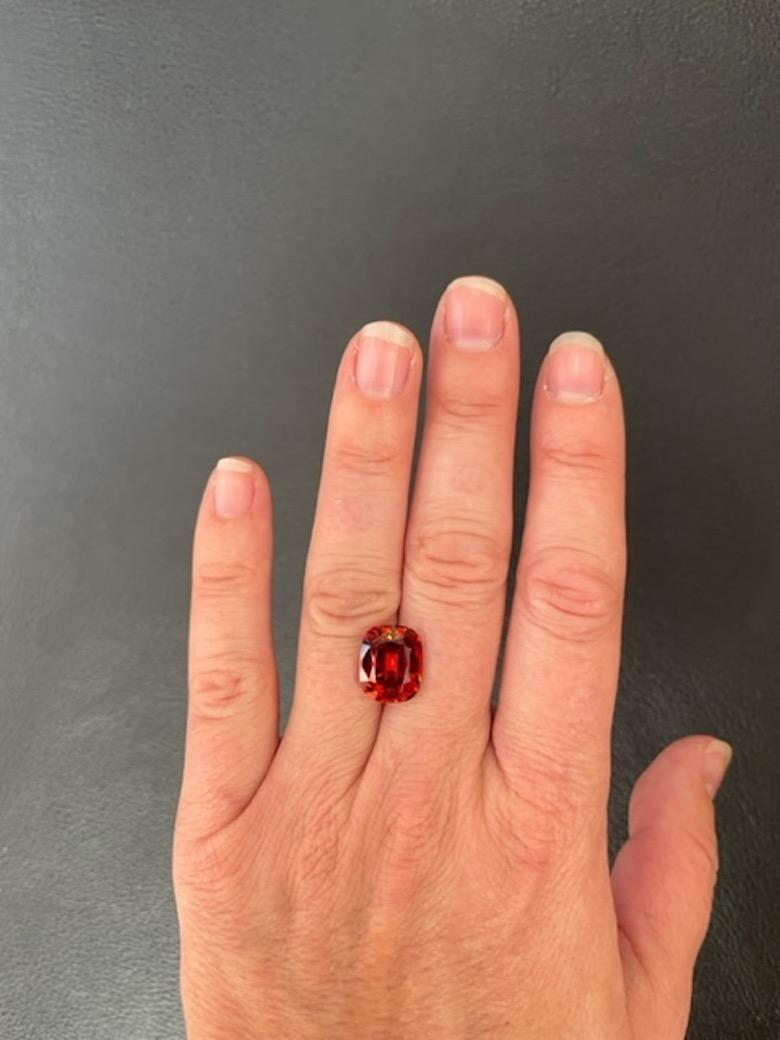 Striking 8.70 carat cushion Mandarin Garnet gem, offered unmounted to a fine gem lover.
Dimensions: 12.60mm x 10.50mm x 7.00mm.
Returns are accepted and paid by us within 7 days of delivery.
We offer supreme custom jewelry work upon request. Please