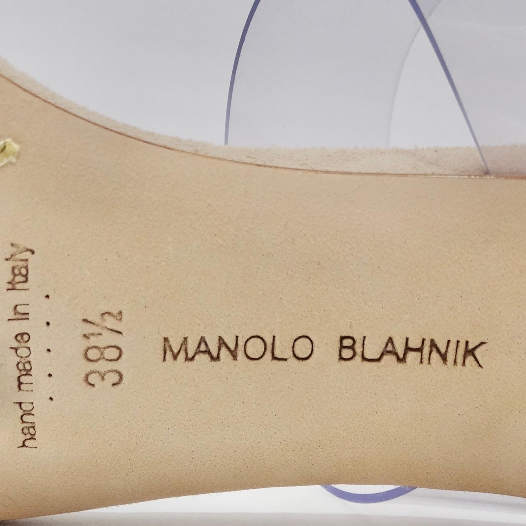 Manolo Blahnik Scolto Clear ECO PVC Open Toe Mules For Sale 4
