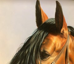 REALISM - HORSE