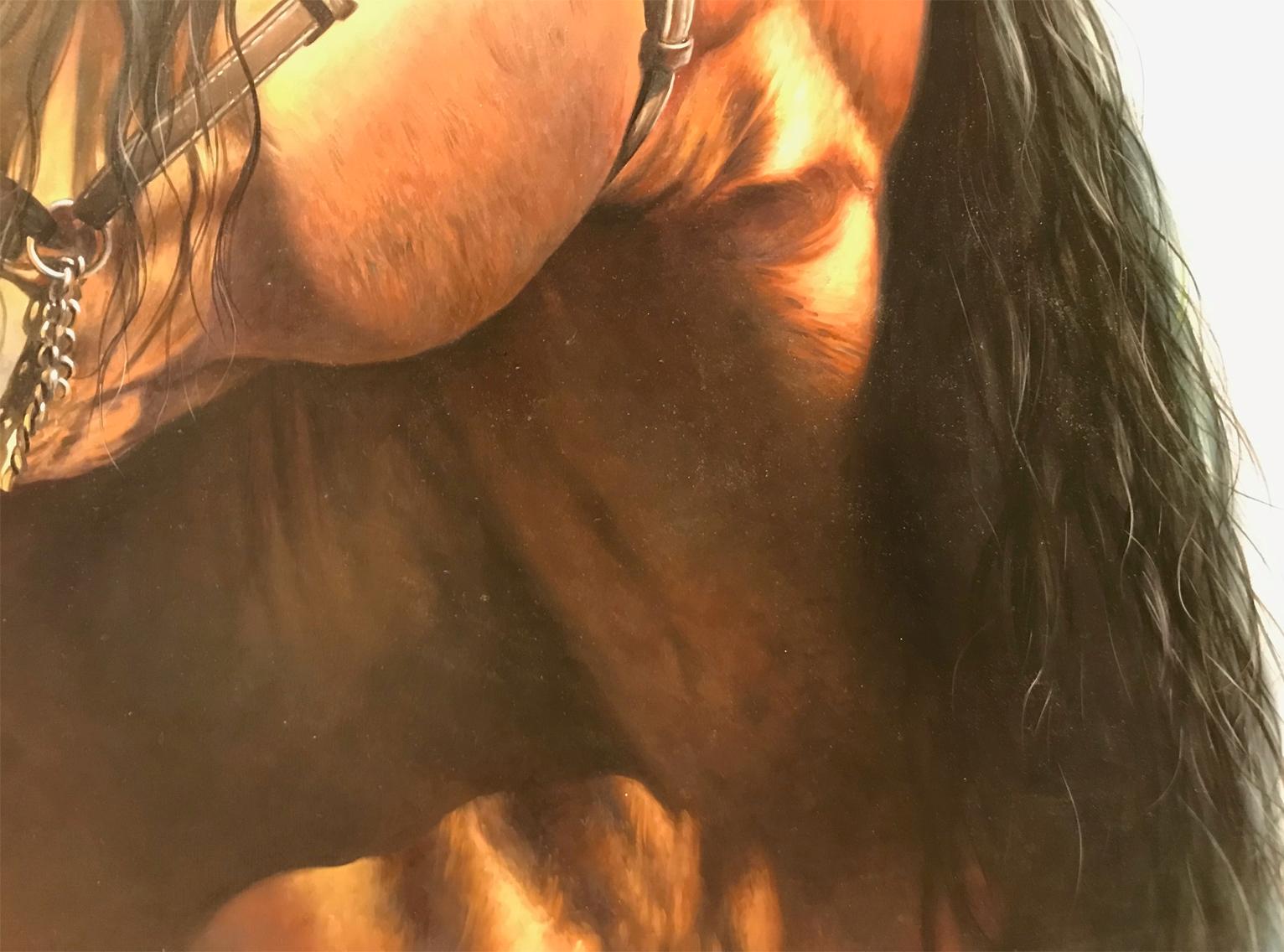 REALISM - HORSE For Sale 1