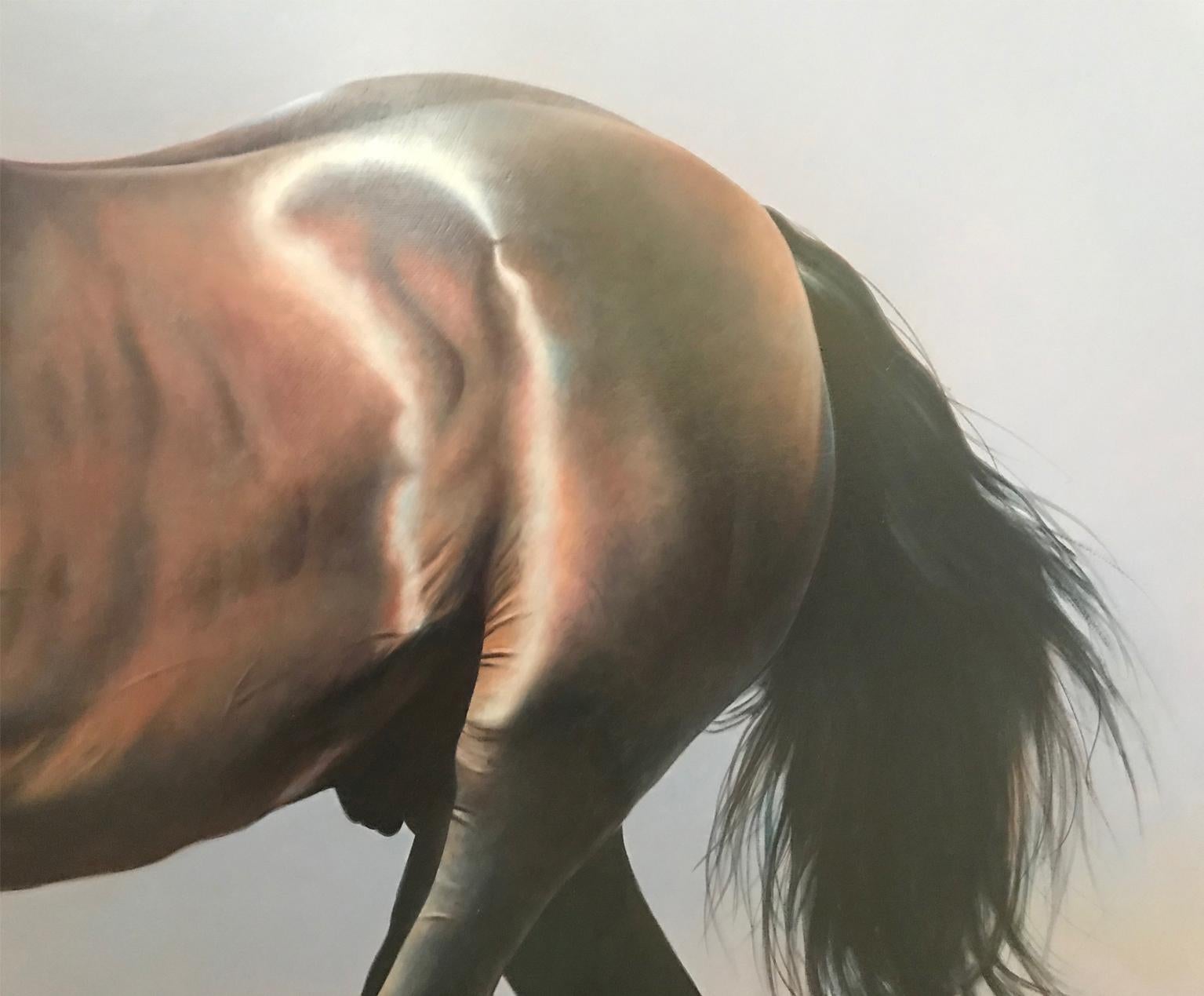 REALISM - HORSE 2