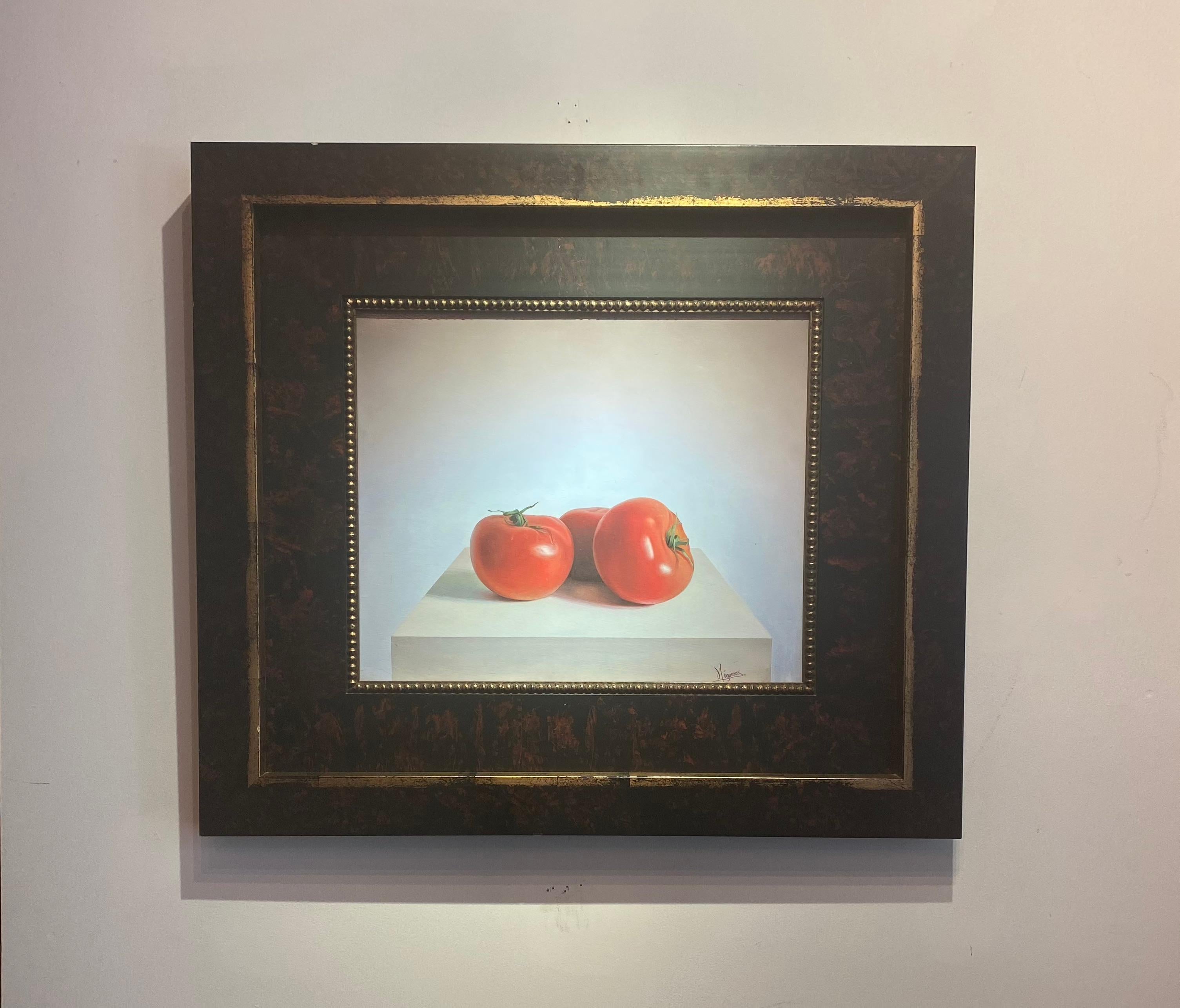 Manolo Higueras Still-Life Painting - 'Tomatoes' Contemporary Still Life painting of two big Red tomatoes, kitchen 