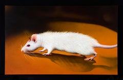 Peinture à l'huile Rat « Licorne #3 »