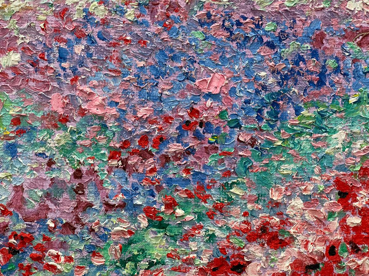 Manor Shadian ** Poppy and Daisy Field  ** Original Oil For Sale 2