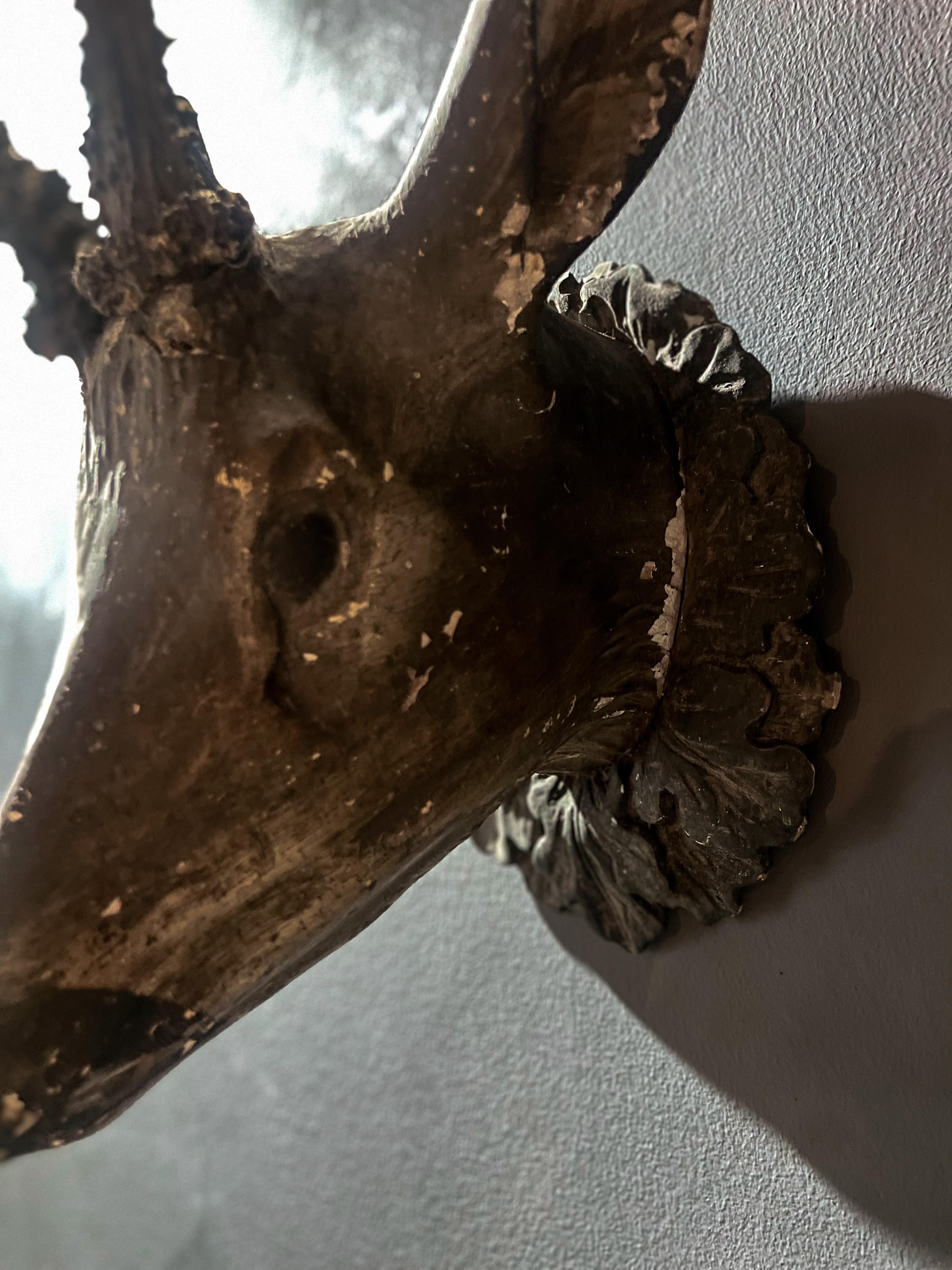 Tête de cerf en plâtre ornée de bois de cervidés - 1900 Allemagne en vente 1