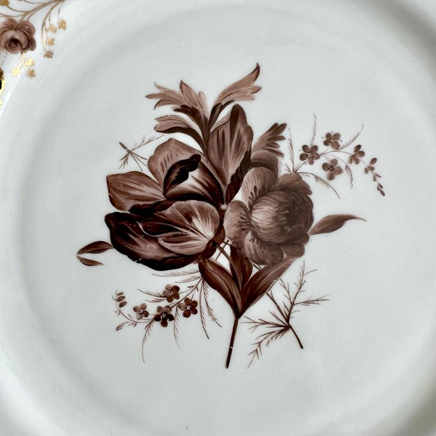 Anglais Assiette Mansfield, Monochrome Sépia Ranunculus par W. Billingsley, 1799-1802 (2) en vente