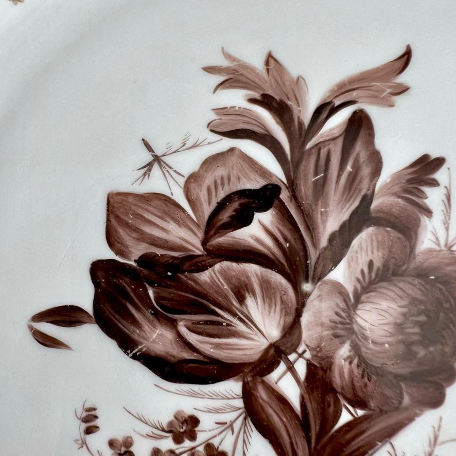 Peint à la main Assiette Mansfield, Monochrome Sépia Ranunculus par W. Billingsley, 1799-1802 (2) en vente