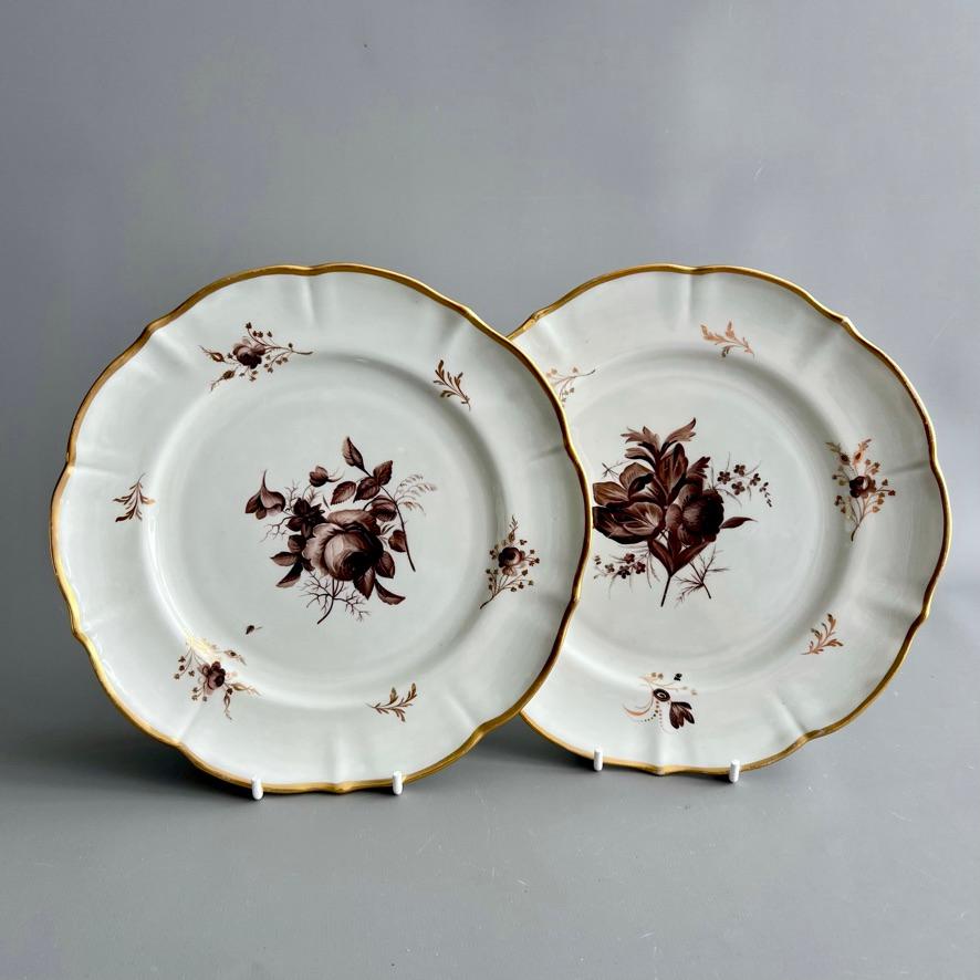 This is one of a pair of beautiful plates made by William Billingsley at the Mansfield Pottery, between 1799 and 1802. The plates, manufactured by Coalport, have a pleasing slightly diapered shape. They were decorated with beautiful monochrome sepia