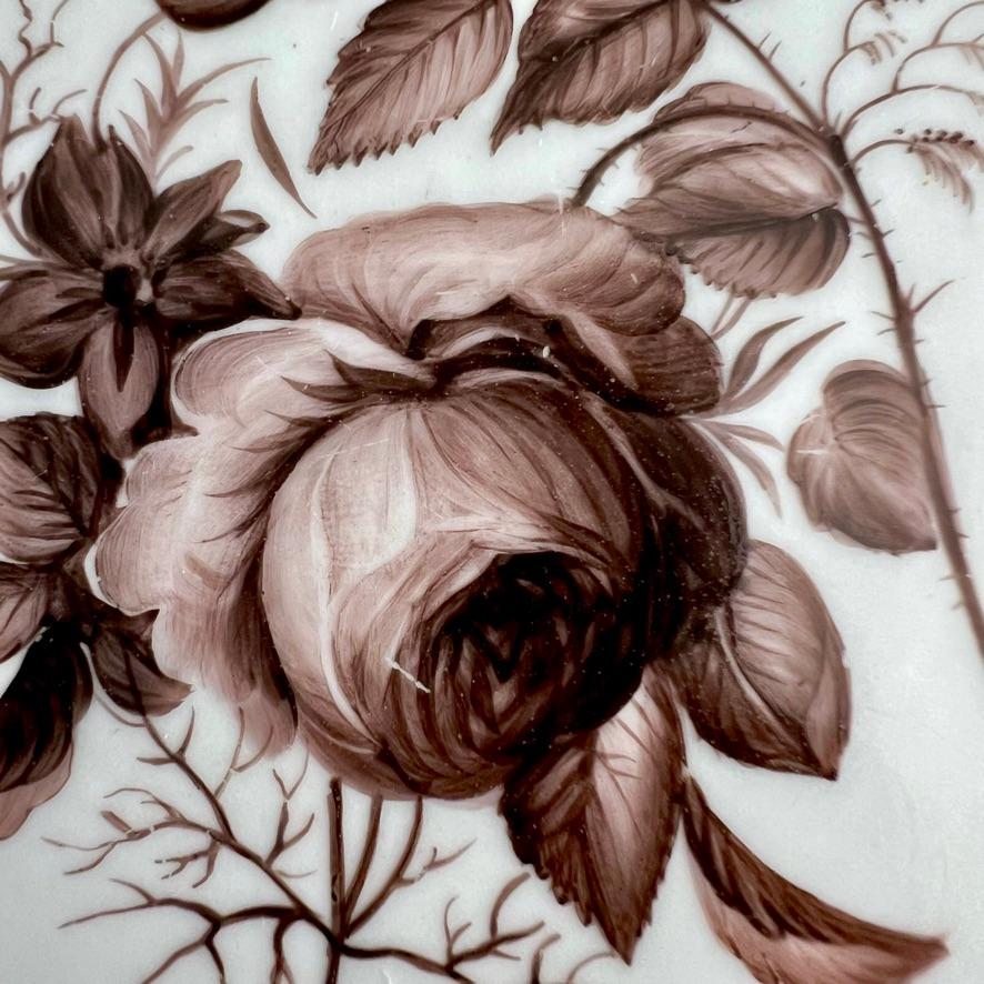 Hand-Painted Mansfield Porcelain Plate, Monochrome Sepia Rose W. Billingsley, 1799-1802 (1) For Sale