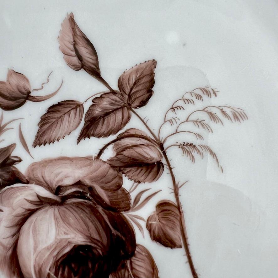 Mansfield Porcelain Plate, Monochrome Sepia Rose W. Billingsley, 1799-1802 (1) In Good Condition For Sale In London, GB