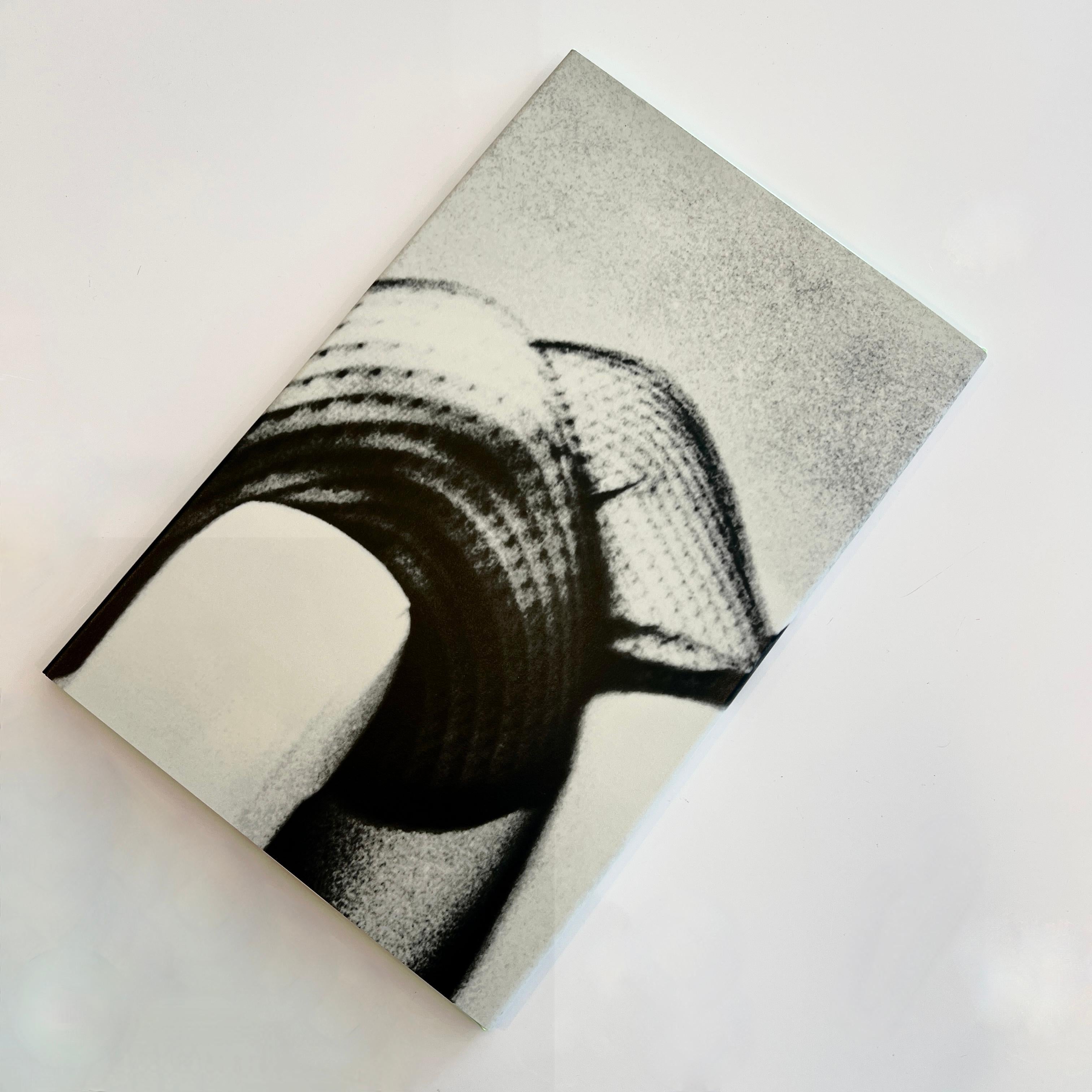 Carta Mantis di Daido Moriyama in vendita