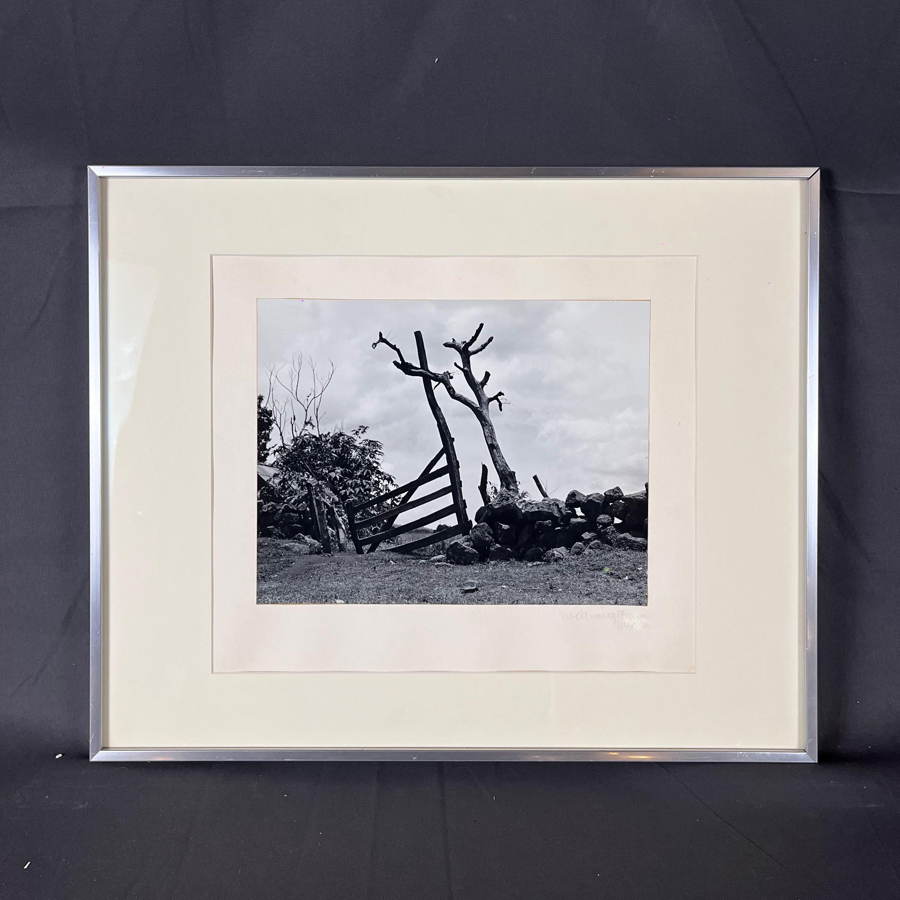 A gelatin silver print featuring 