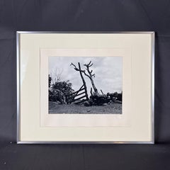 Manuel Álvarez Bravo Las Trancas Fotografía original