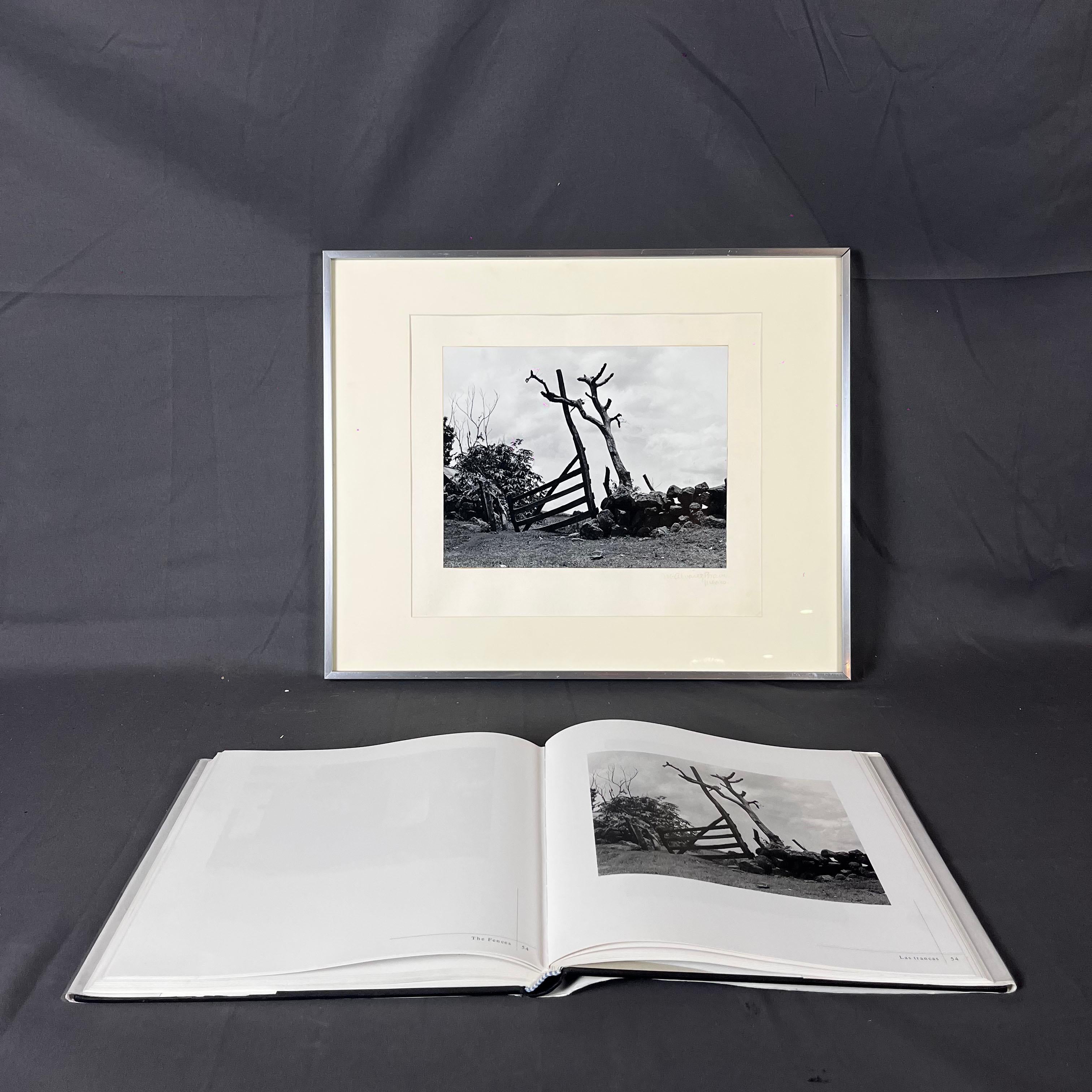 Manuel Álvarez Bravo The Fences (Las Trancas) Original Photography In Good Condition For Sale In Mexico City, MX