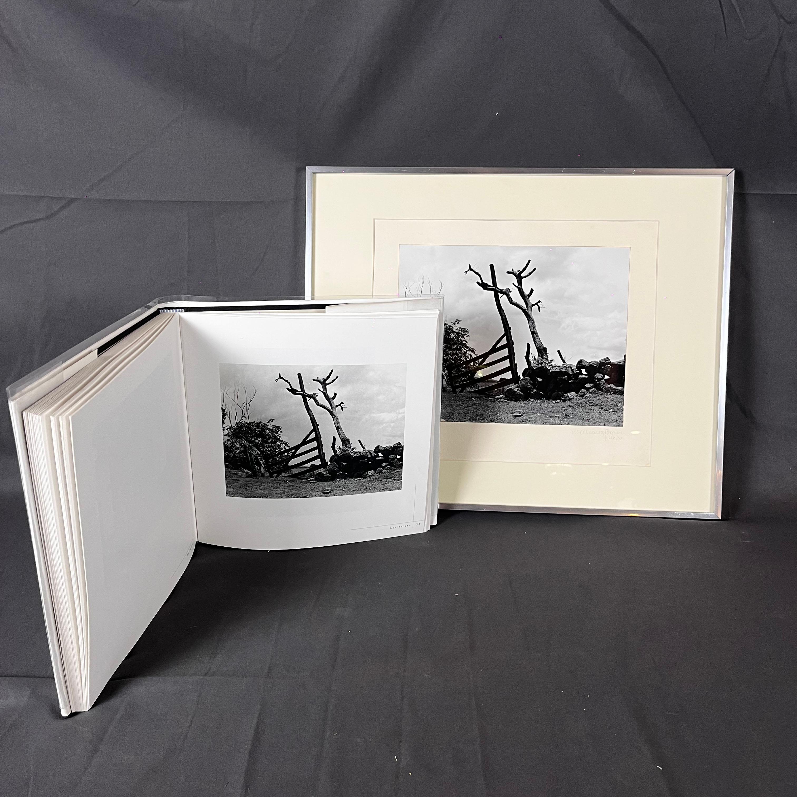 Mid-20th Century Manuel Álvarez Bravo The Fences (Las Trancas) Original Photography For Sale
