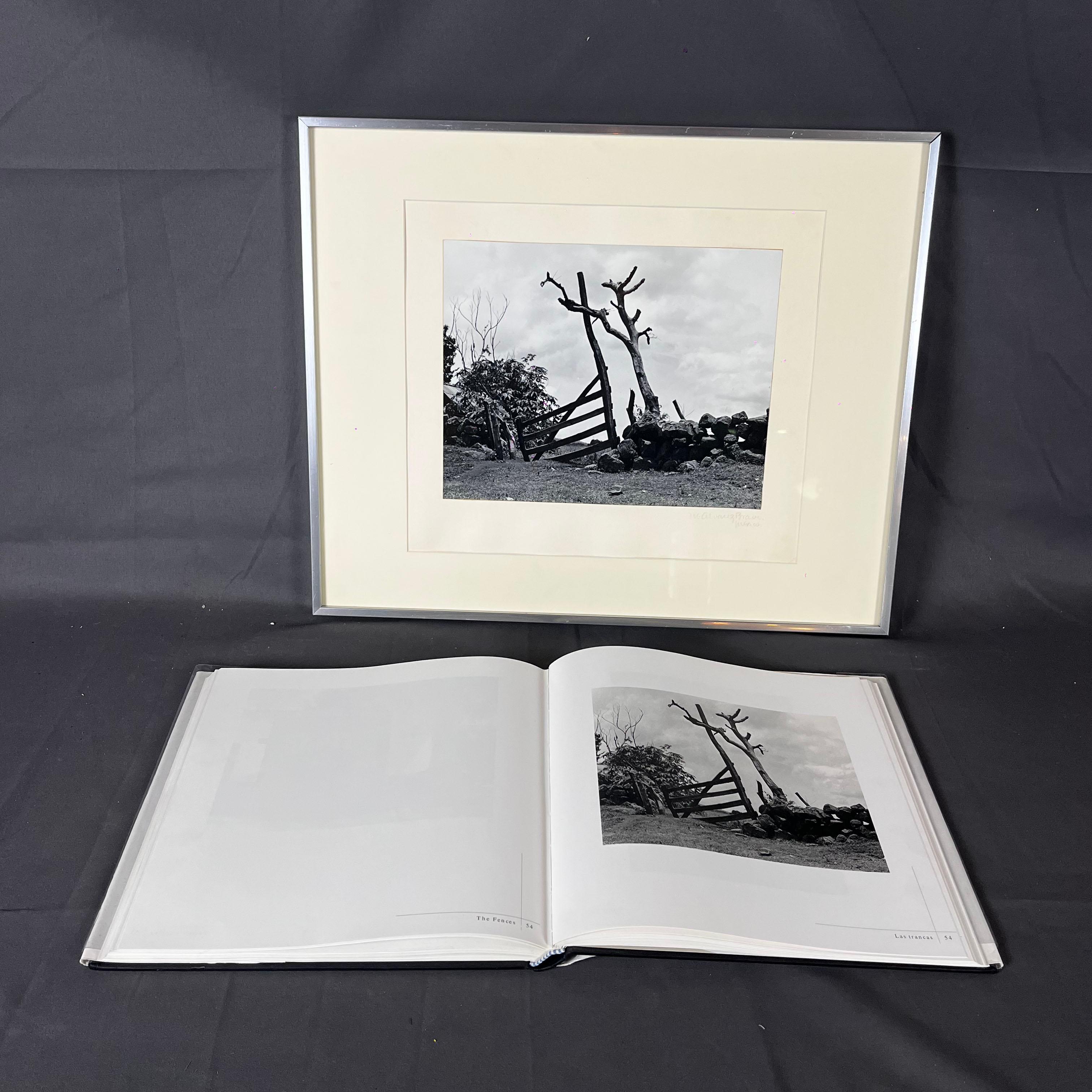 Paper Manuel Álvarez Bravo The Fences (Las Trancas) Original Photography For Sale