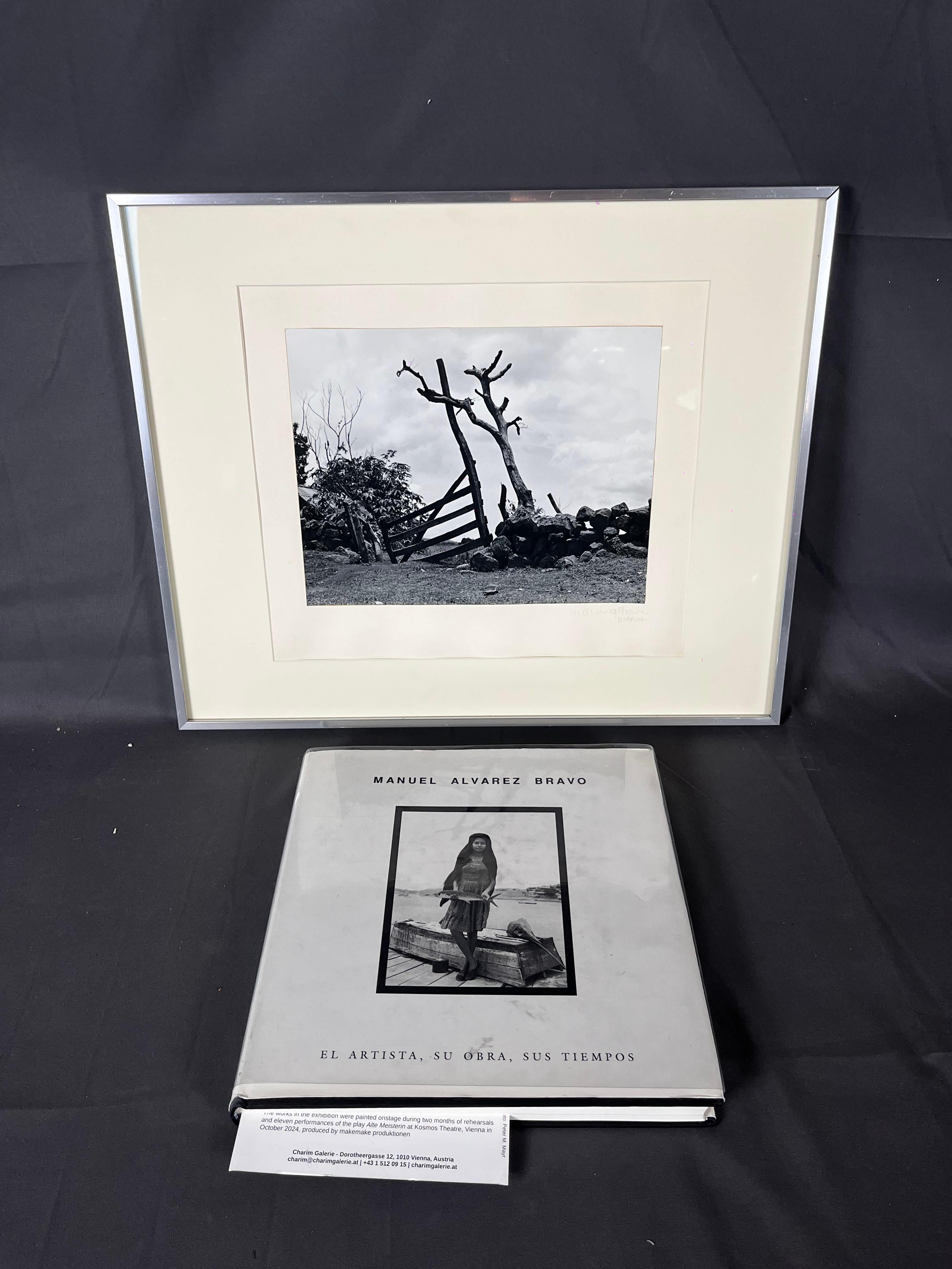 Manuel Álvarez Bravo The Fences (Las Trancas) Original Photography For Sale 1