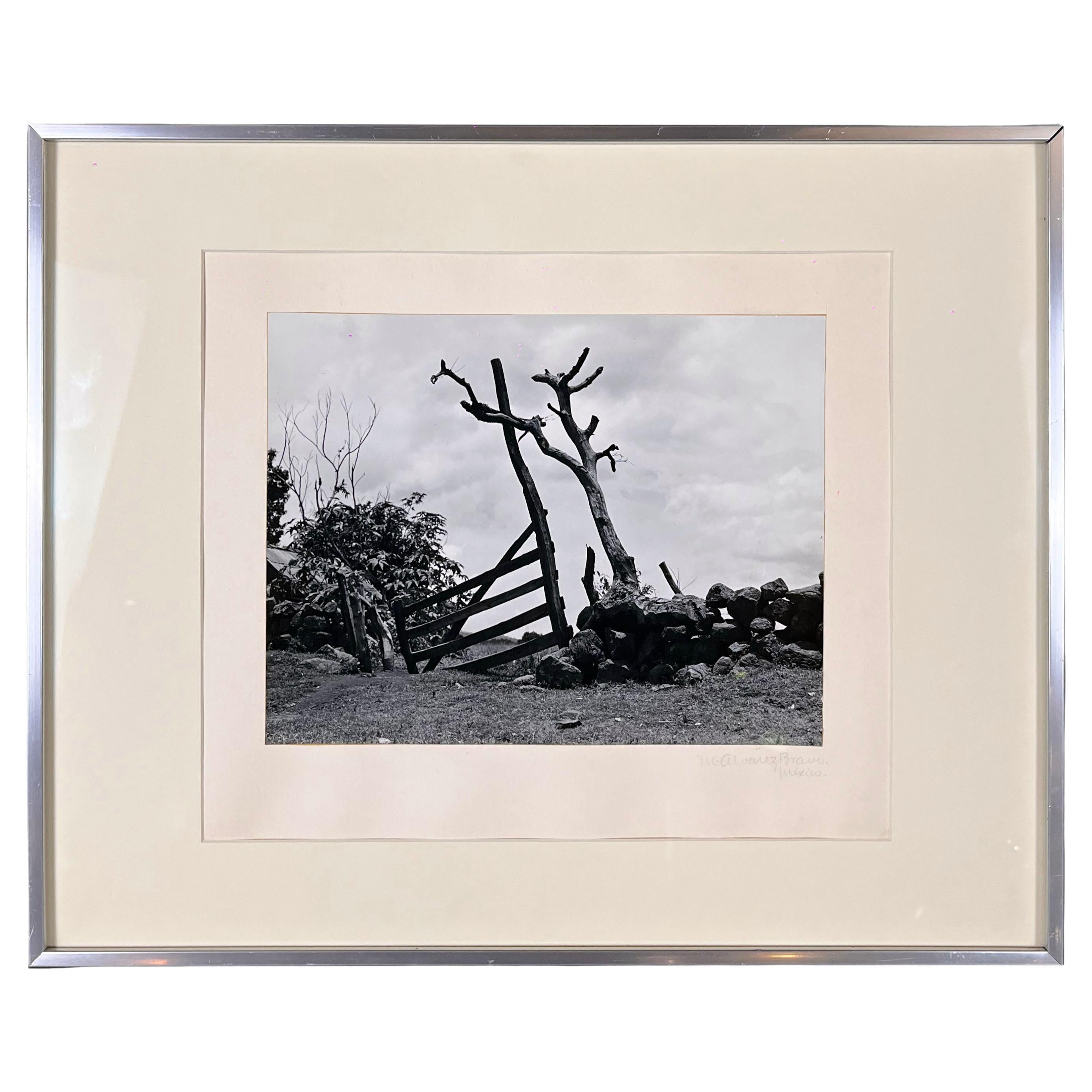Manuel Álvarez Bravo The Fences (Las Trancas) Original Photography