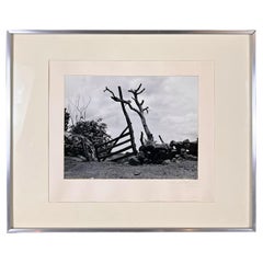 Manuel Álvarez Bravo The Fences (Las Trancas) Original Photography