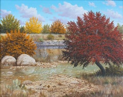 Fall Landscape