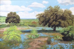 Used Texas Pastoral Landscape with Bluebonnets