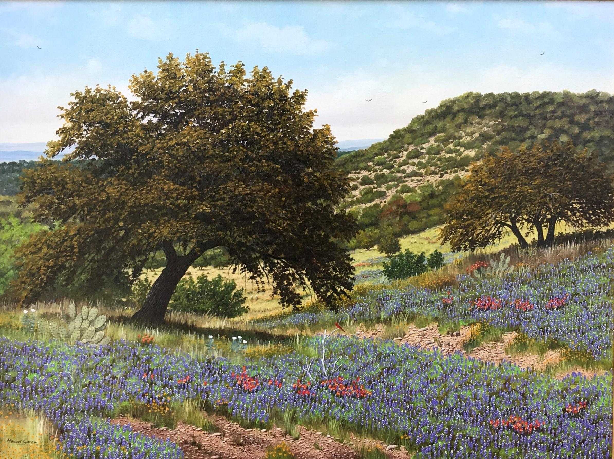 Manuel Garza Landscape Painting - Untitled, Hill Country Landscape with Bluebonnets