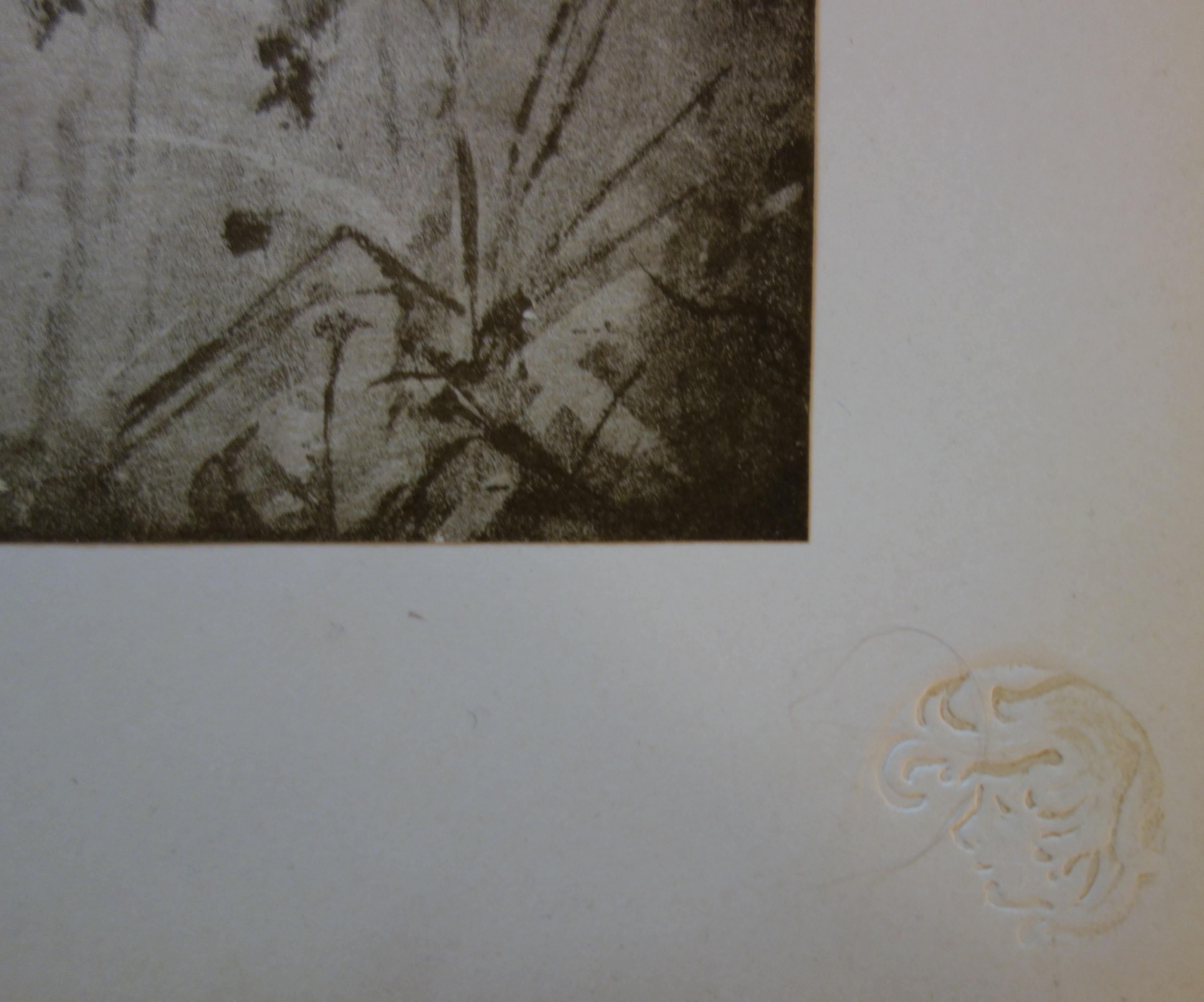 Elegant Women in a Park - Original lithograph, 1898 - Gray Figurative Print by Manuel Robbe