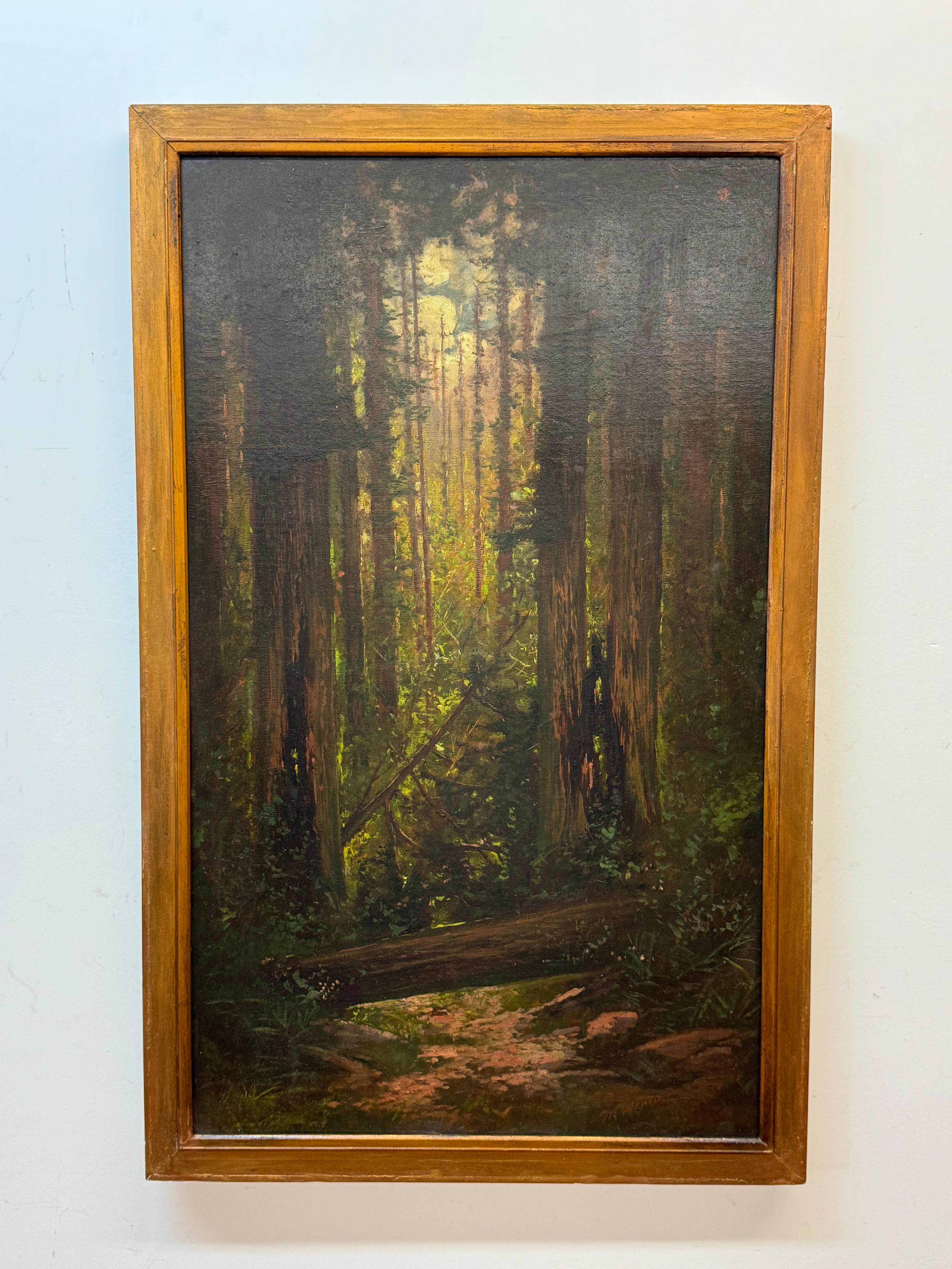 Manuel Valencia (1856–1935) early 20th century redwood forest landscape painting. Oil on canvas. 18 x 31 framed, 20.5 x 32.5 framed.
