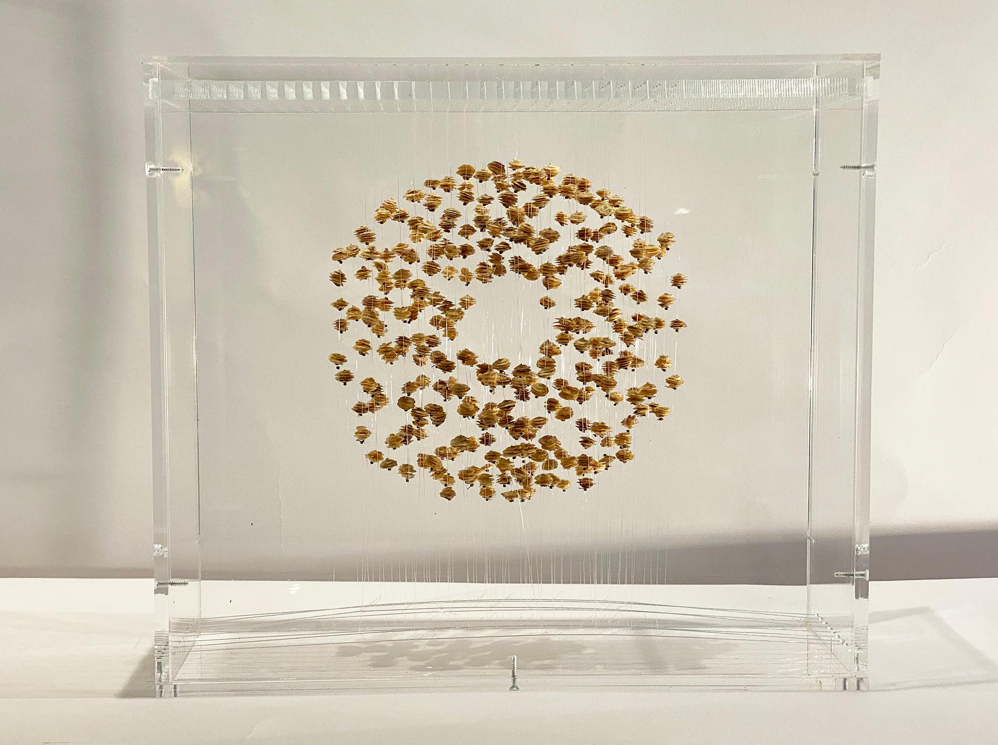Golden hours is a unique piece by French contemporary artist Manuèle Bernardi.
Dried Lucerne, nylon threads and cube in plexiglass
Signed

After studying at the Académie Roederer and the Beaux-Arts in Paris (1983), she became a decorator and costume