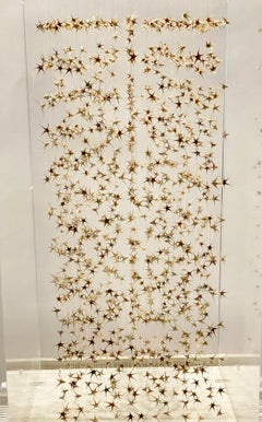 Poussières d'étoiles, dried flower installation, delicate installation of nature