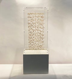 Poussières d'étoiles, dried flower installation, delicate installation of nature