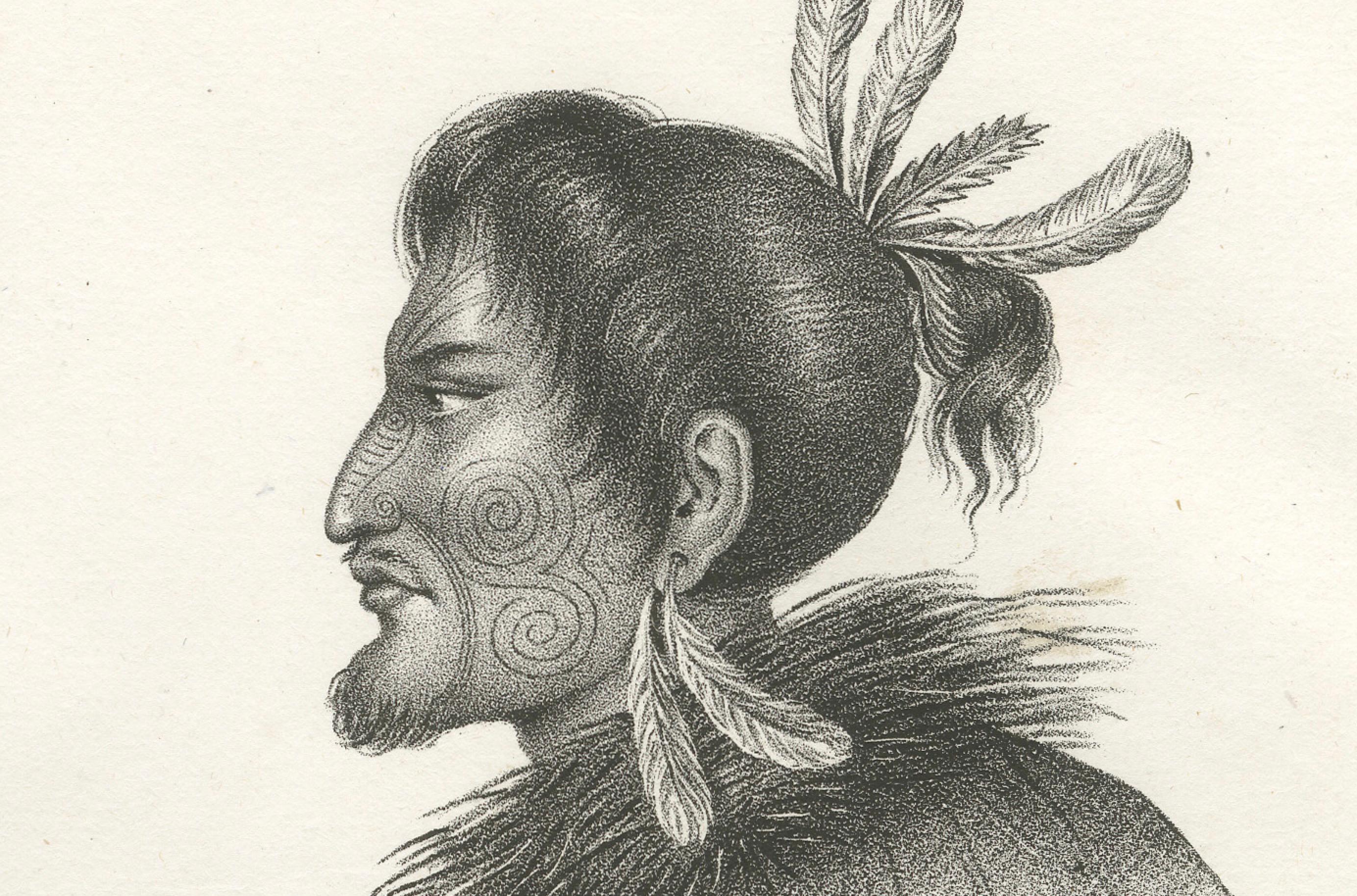 Retratos Maoríes: Explorando la Riqueza Cultural del Pueblo de Nueva Zelanda, c.1836 Papel en venta