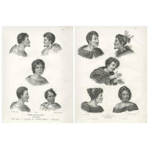Maori Portraits: Exploring the Cultural Richness of New Zealand's People, c.1836