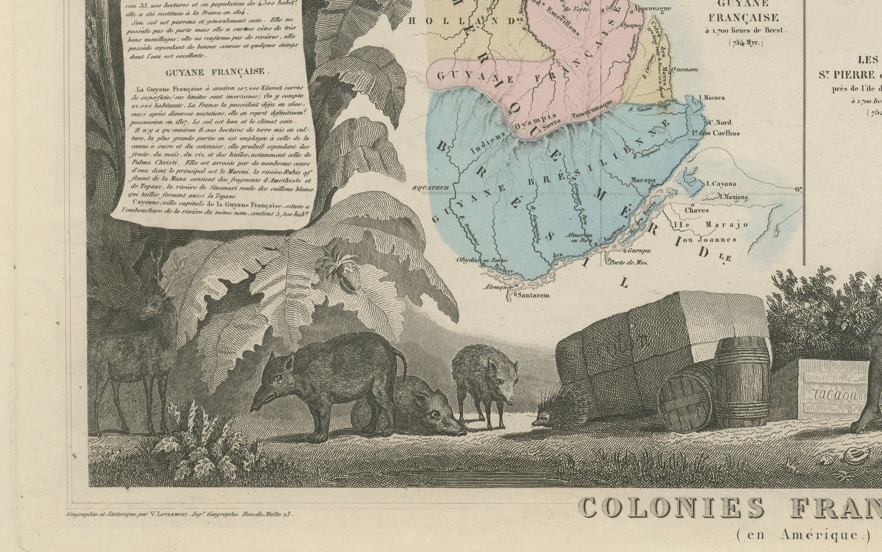 Gravé Carte des colonies françaises dans les Amériques : St. Martin, Guiana française et St. Pierre en vente