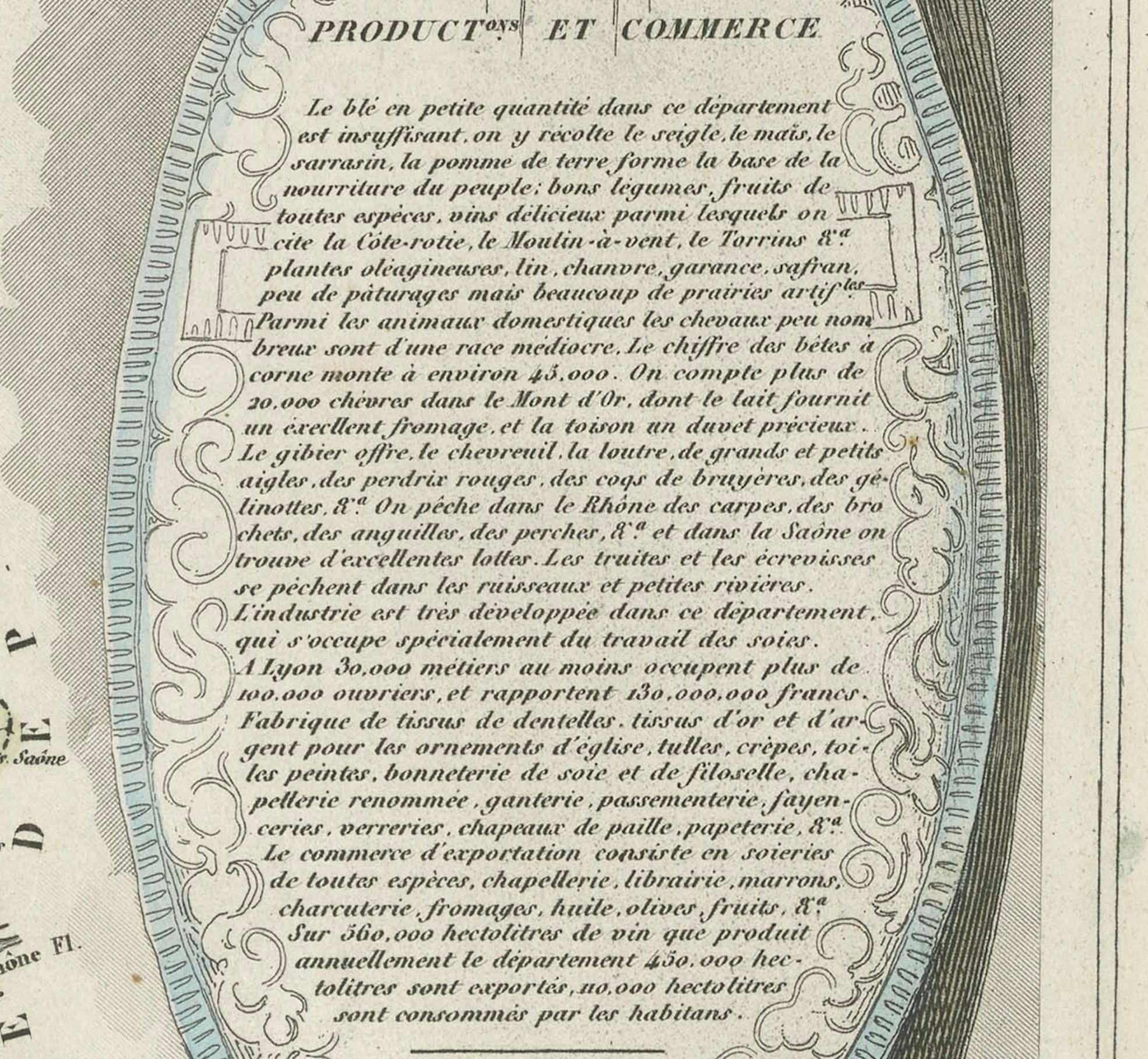 Map of Rhône: Culture and Commerce in Lyon's Silk and Wine Legacy, 1852 In Good Condition For Sale In Langweer, NL
