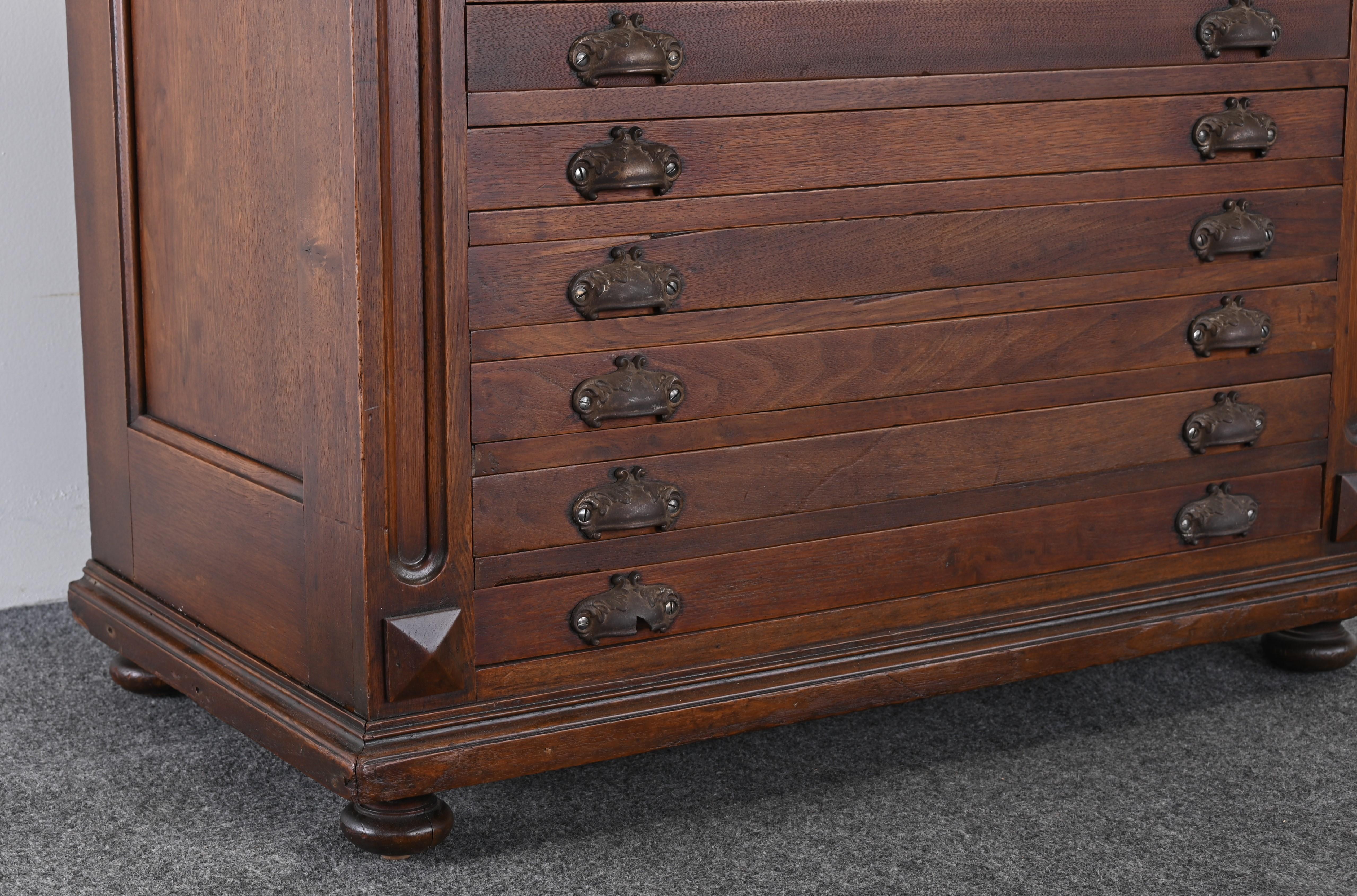 Map or Print Cabinet, 19th Century 6