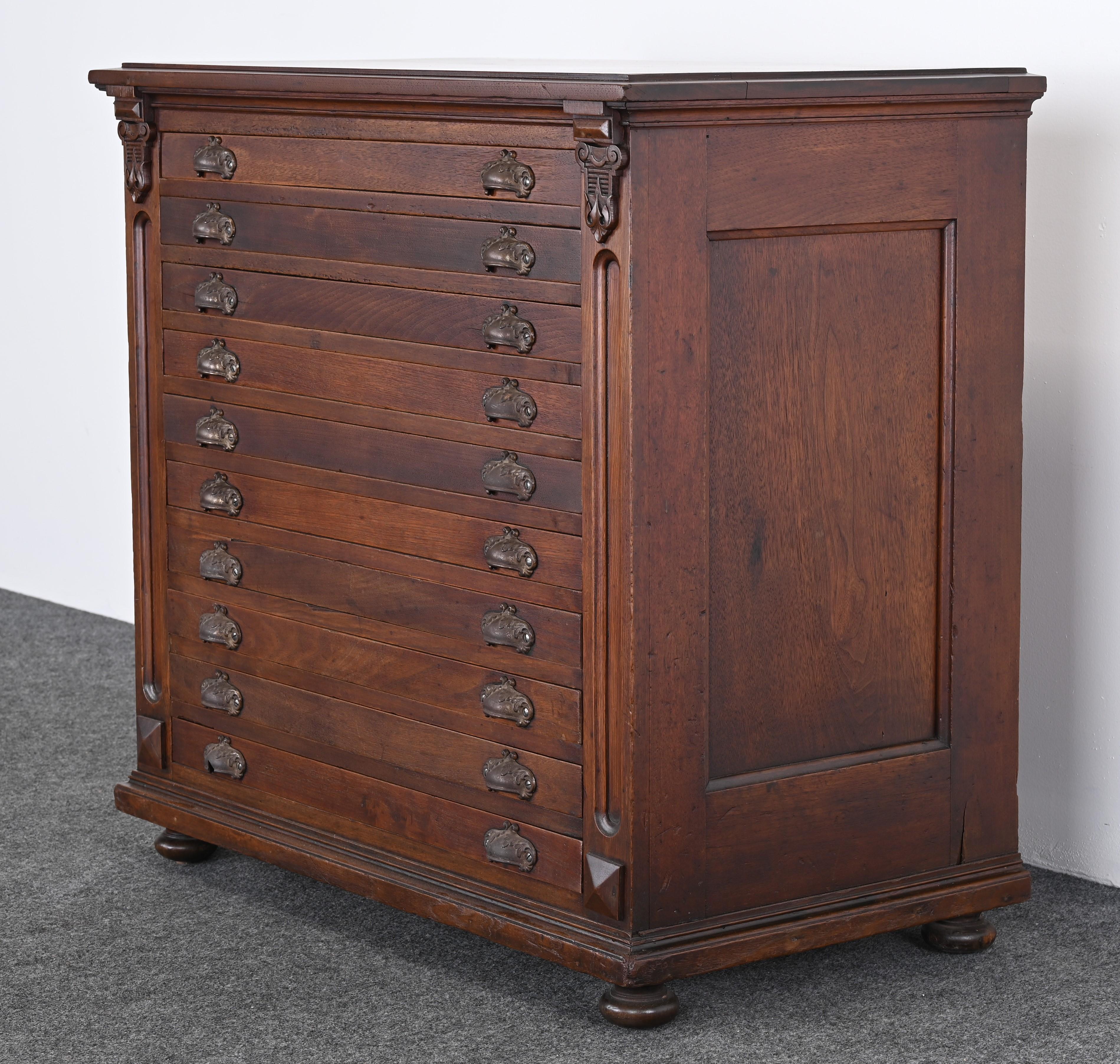 Map or Print Cabinet, 19th Century 1