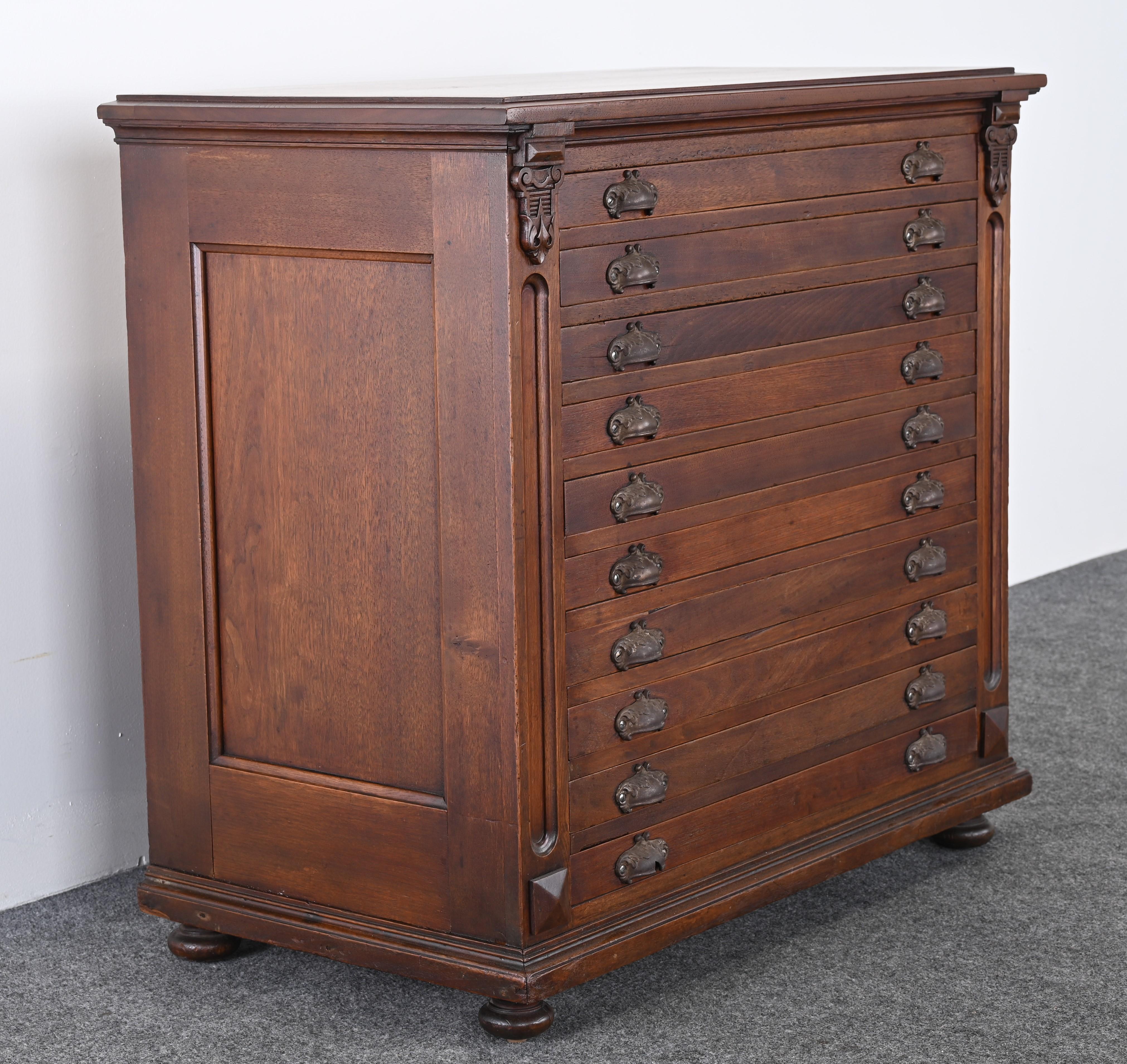 Map or Print Cabinet, 19th Century 2