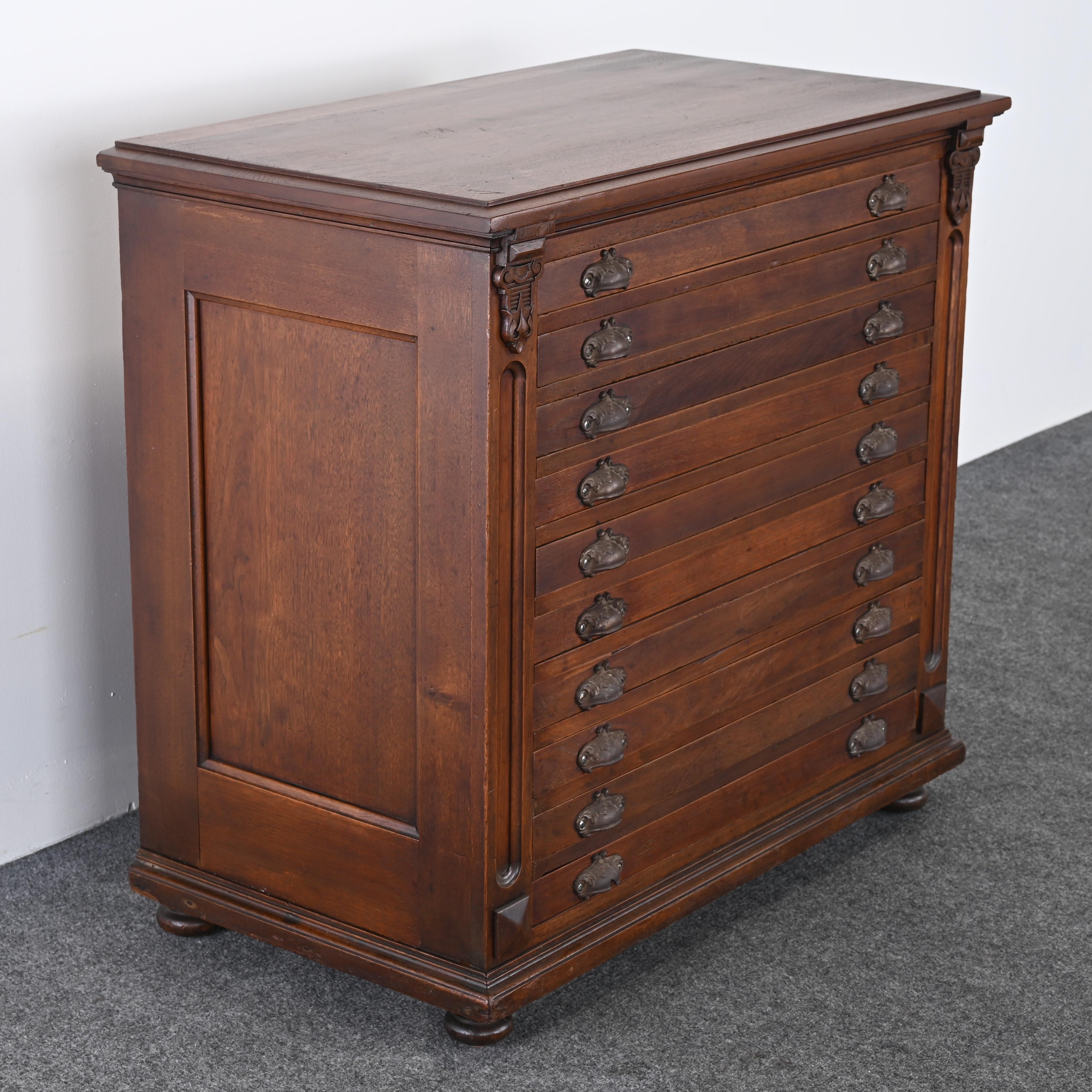 Map or Print Cabinet, 19th Century 3