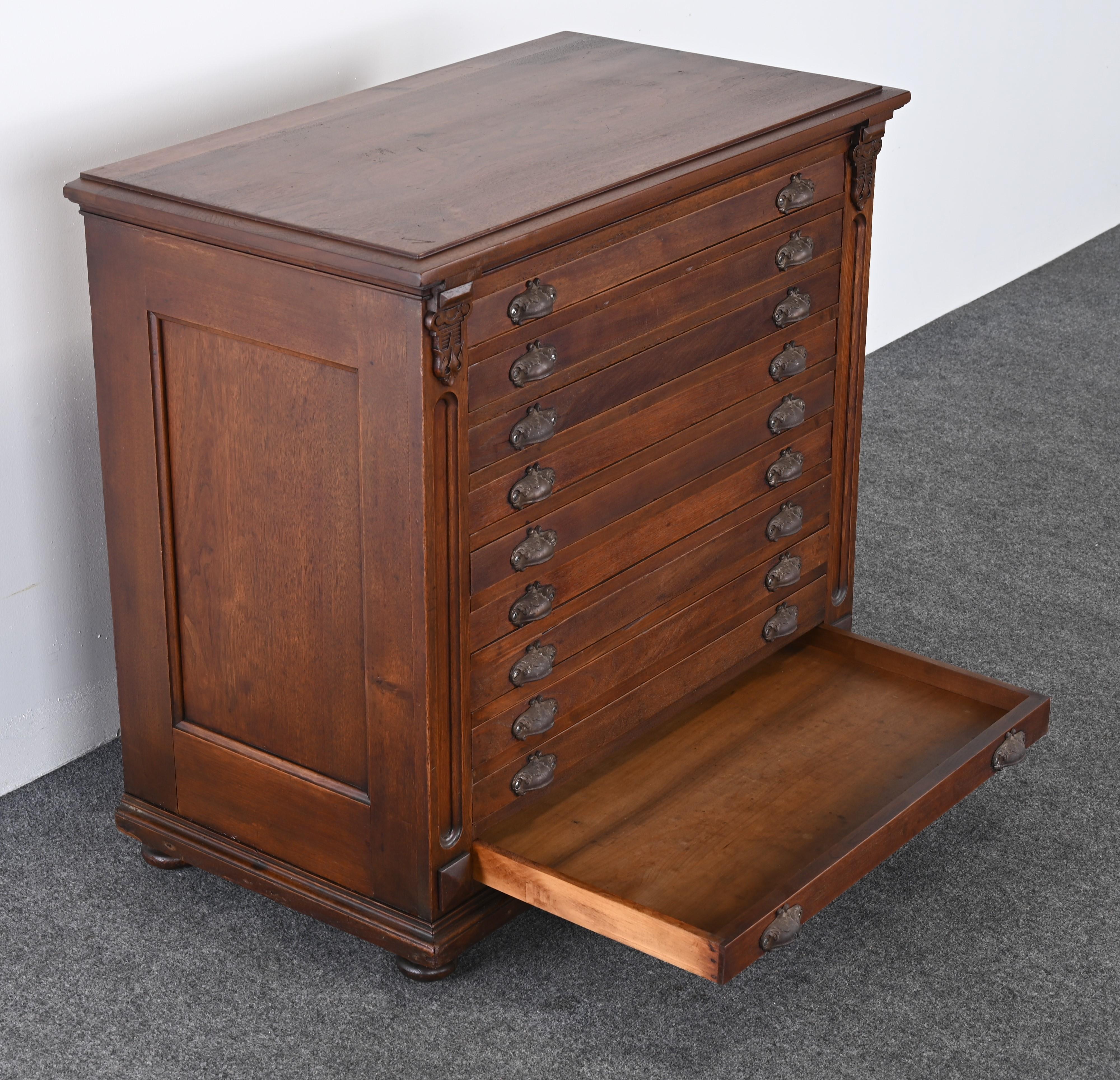 Map or Print Cabinet, 19th Century 4