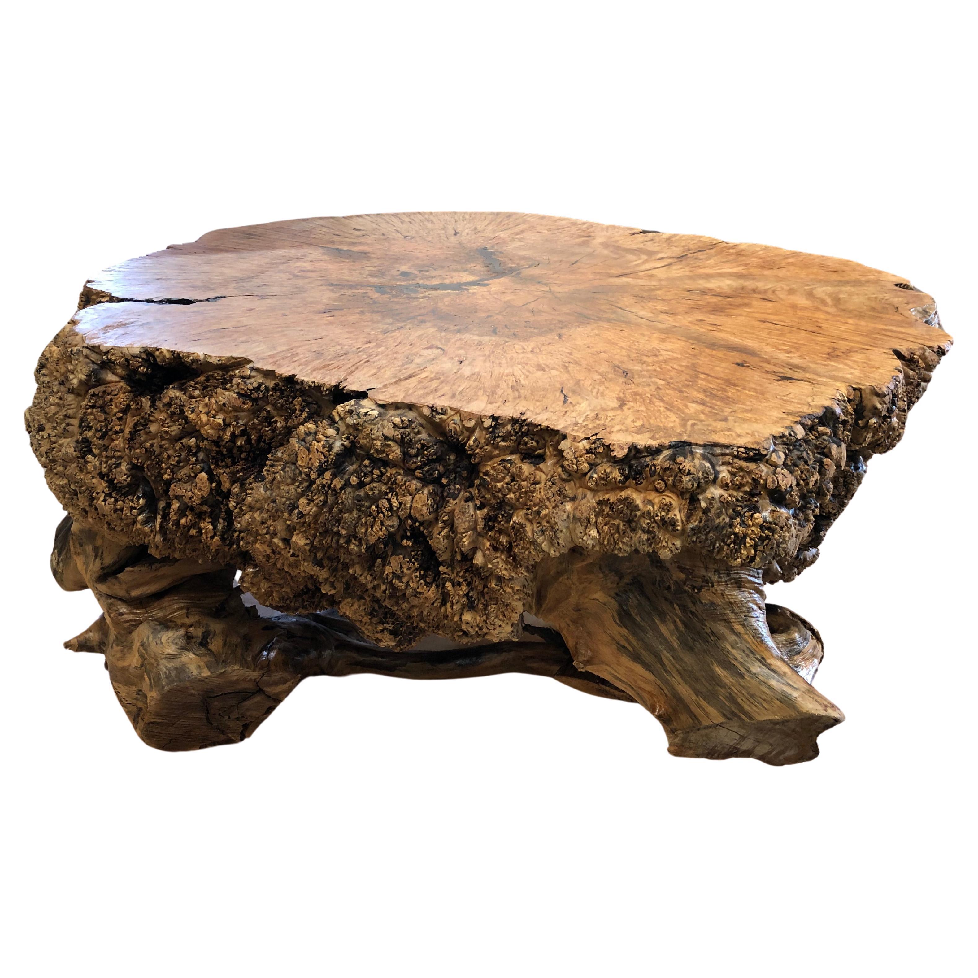 Maple Burl Chunk Coffee Table For Sale